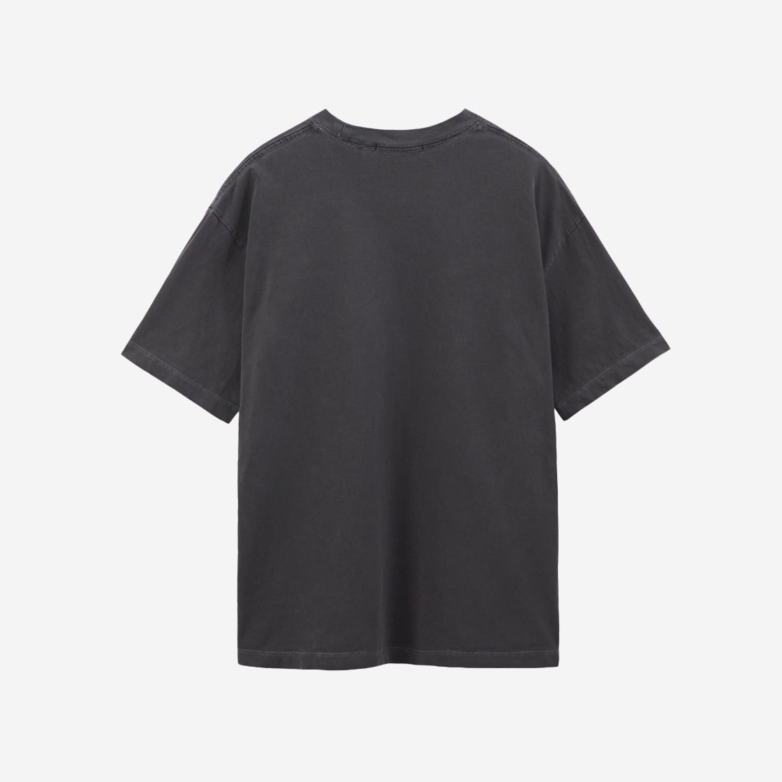 PL5TTS0941NS Polyteru Human Index Human Regular 1/2 T-Shirt Dyed Purple Gray - #2