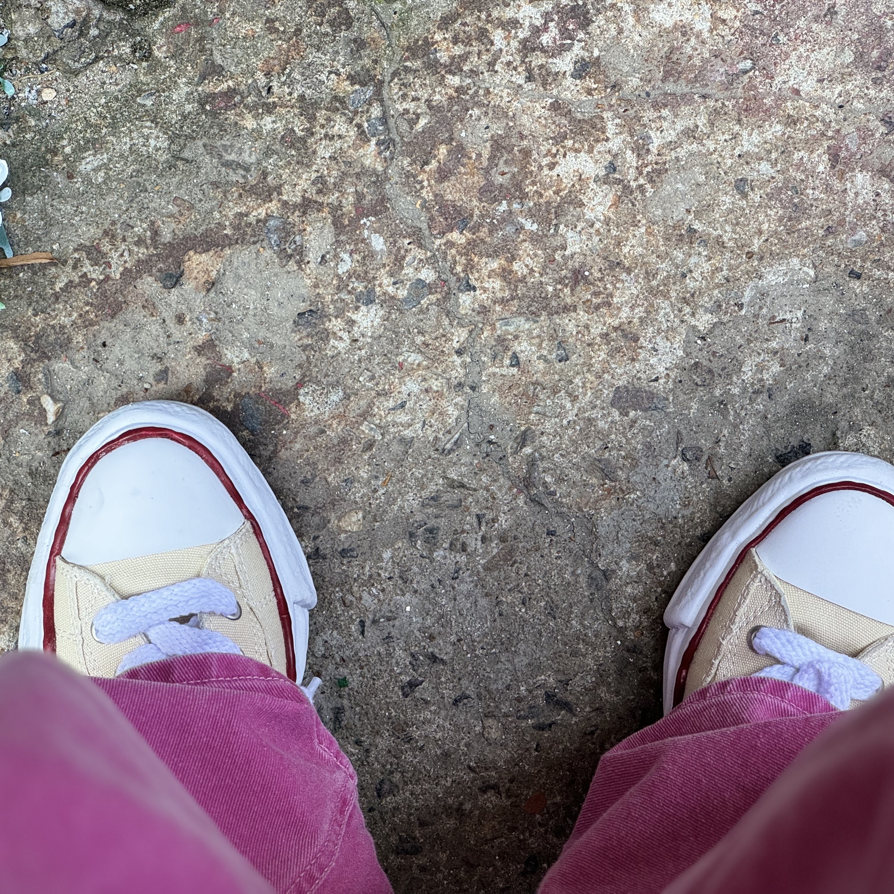 Maison Mihara Yasuhiro Peterson OG Sole Canvas Low-top Sneakers Natural 착용 스타일