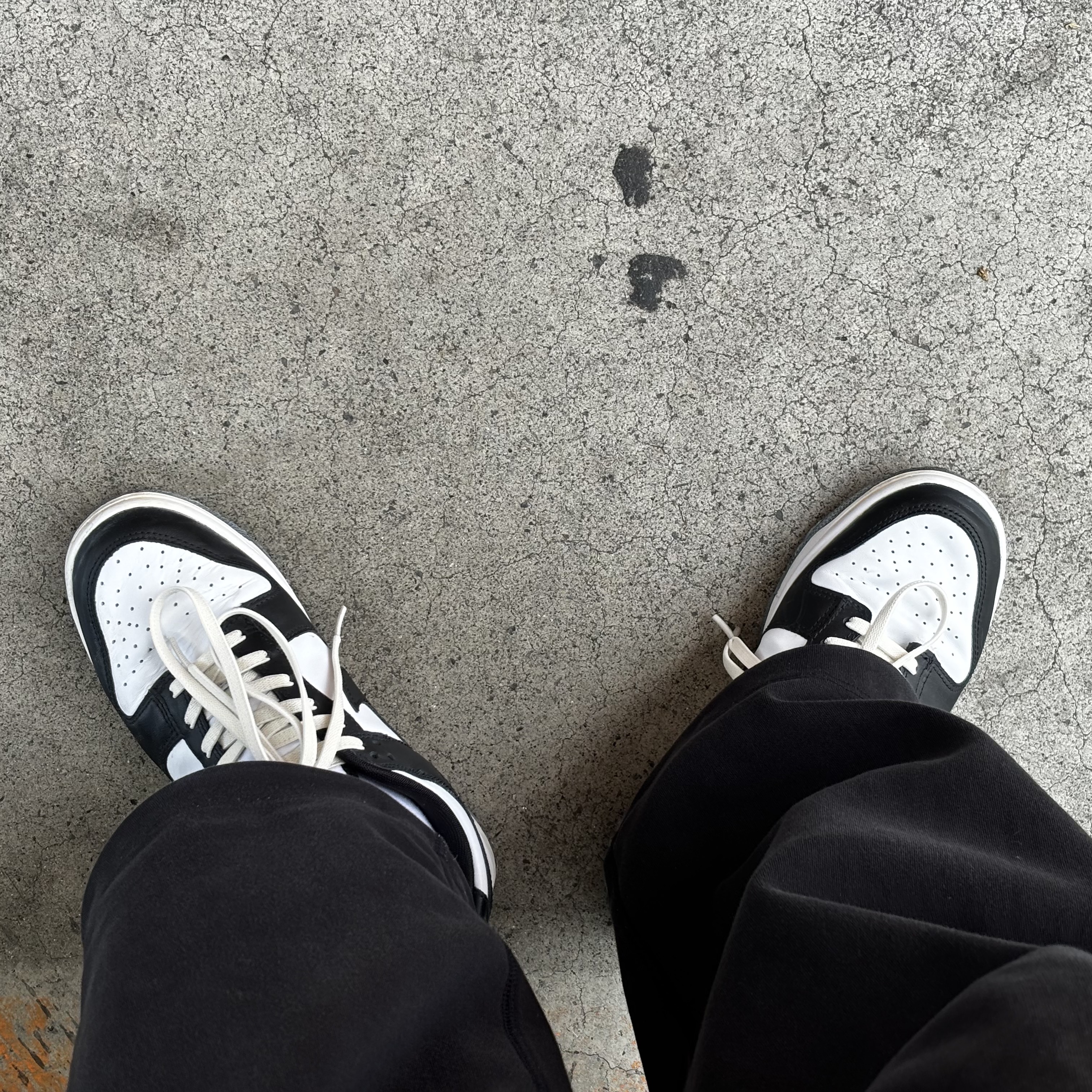 Nike Dunk Low Retro Black 착용 스타일