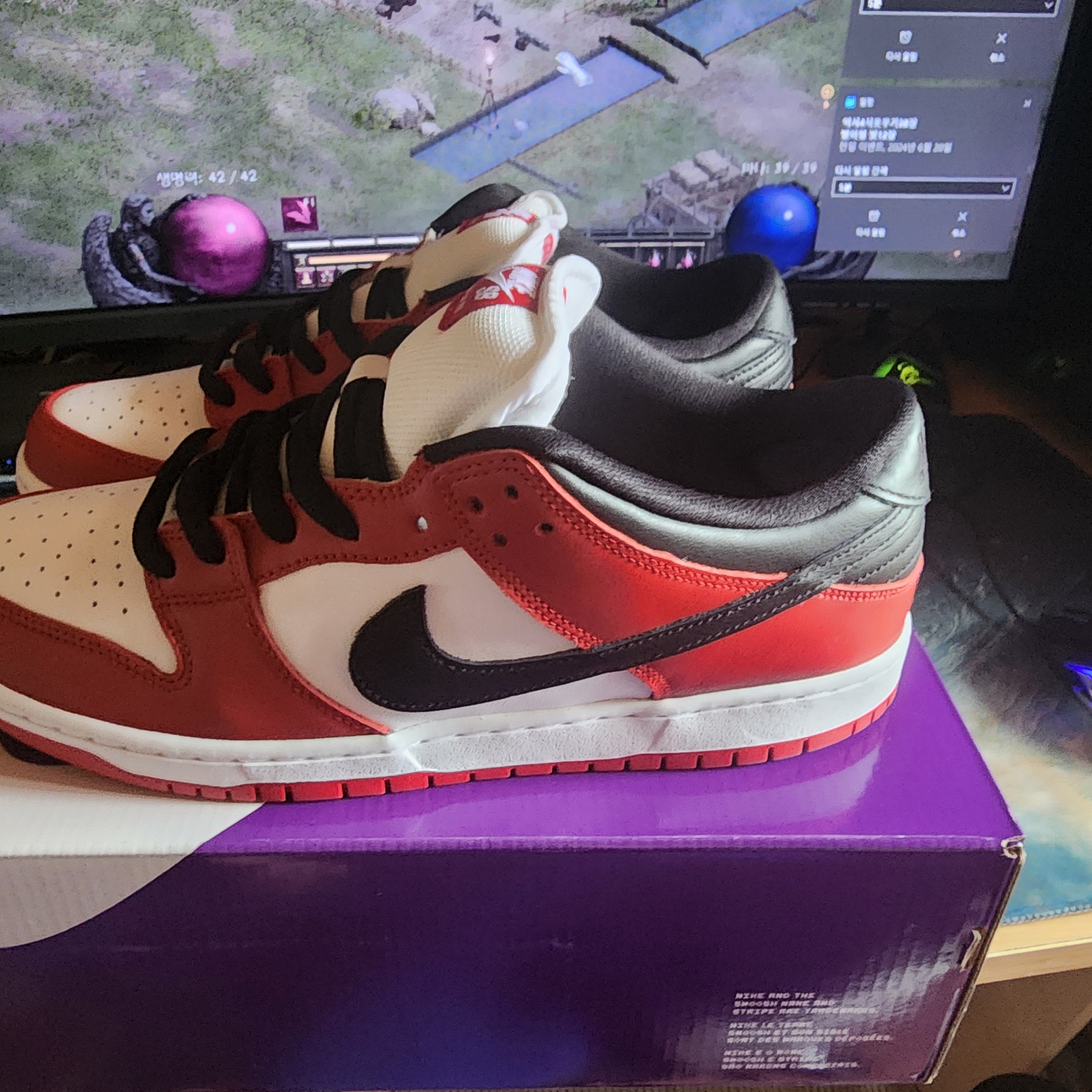 Nike SB Dunk Low Pro Chicago 착용 스타일 - 2