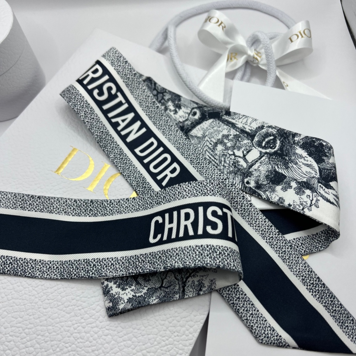 (W) Dior Toile de Jouy Sauvage Mitzah Scarf Silk Twill Ivory Navy Blue 착용 스타일