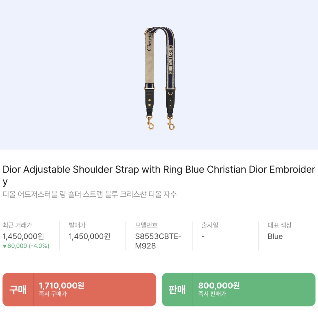 Dior Adjustable Shoulder Strap with Ring Blue Christian Dior Embroidery 착용 스타일 - 2