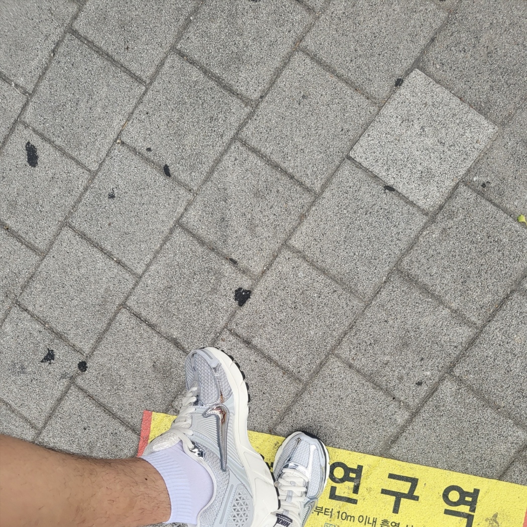 (W) Nike Zoom Vomero 5 Photon Dust and Metallic Silver 착용 스타일