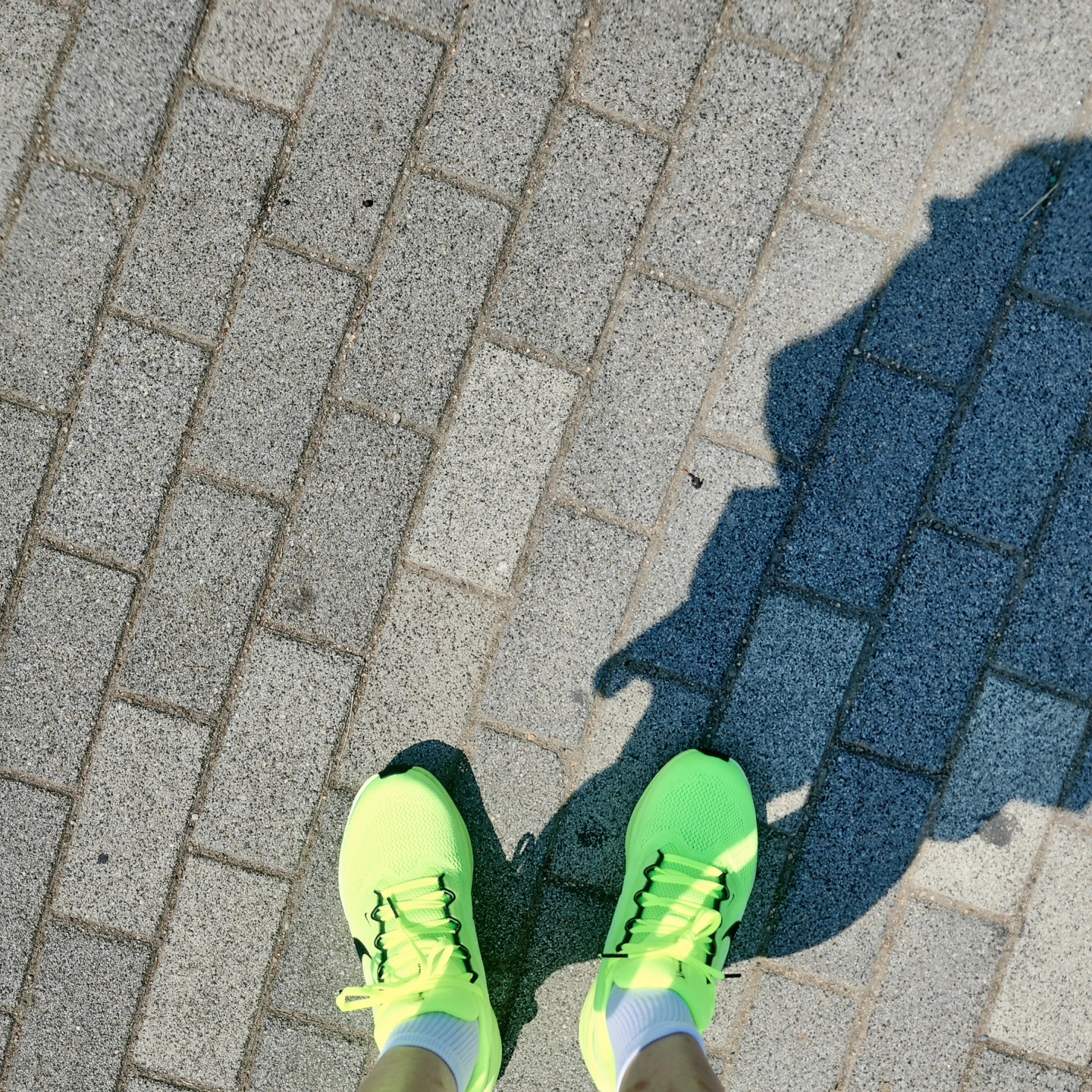 Nike Air Zoom Pegasus 41 Volt Barely Volt 착용 스타일 - 4