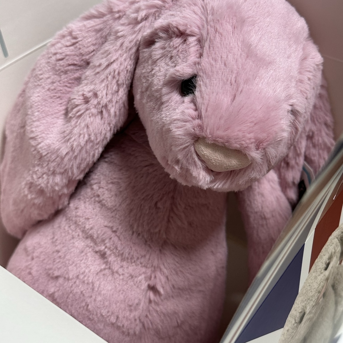 Jellycat Bashful Bunny Large Tulip Pink 착용 스타일 - 1