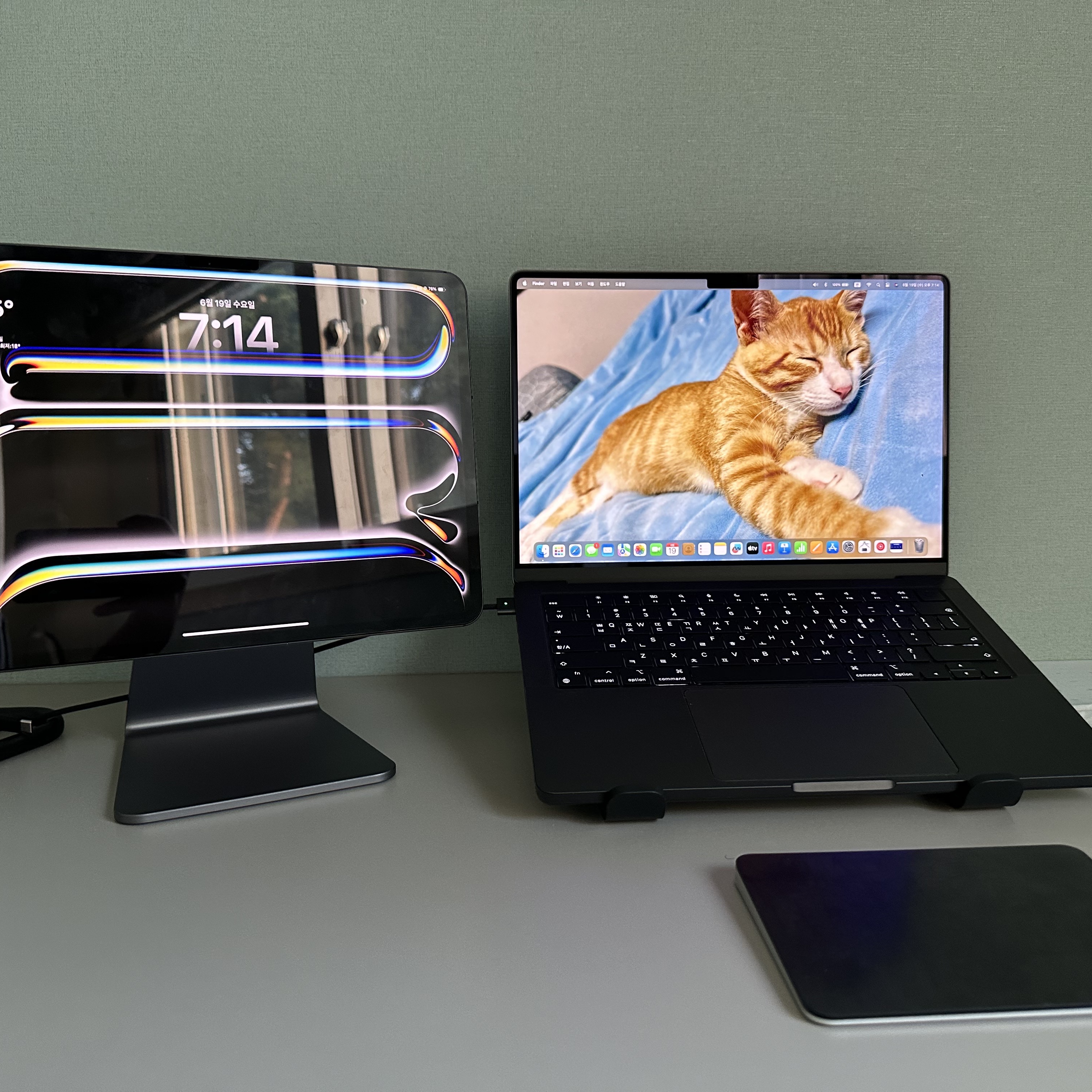 Apple 2023 MacBook Pro 14 M3 Pro 512GB SSD / 18GB RAM Space Black (Korean Ver.), Apple Magic Trackpad Multi-Touch Surface Black (Korean Ver.) 착용 스타일 - 1