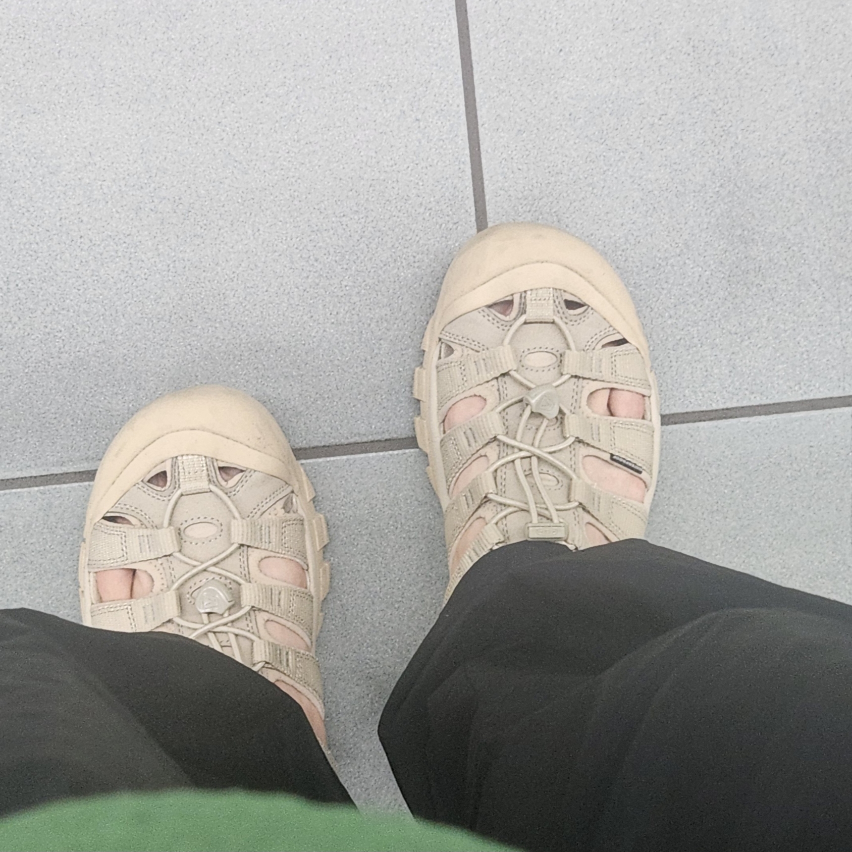 (W) Keen Newport H2 Monochrome Safari 착용 스타일