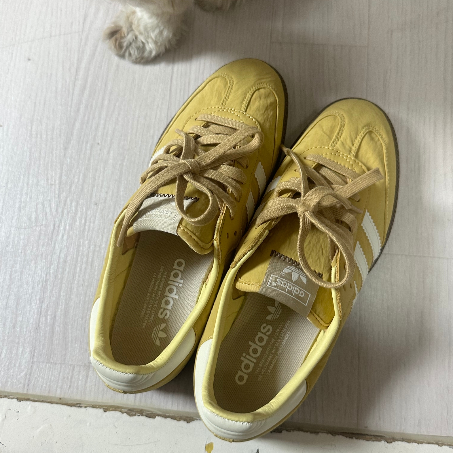 Adidas Samba OG Oat Wonder White 착용 스타일