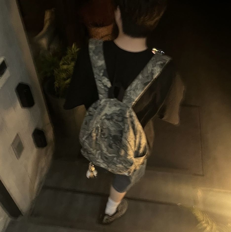 Stussy Canvas Backpack Veil Camo, Nike x Supreme SB Darwin Low Desert Camo 착용 스타일 - 1