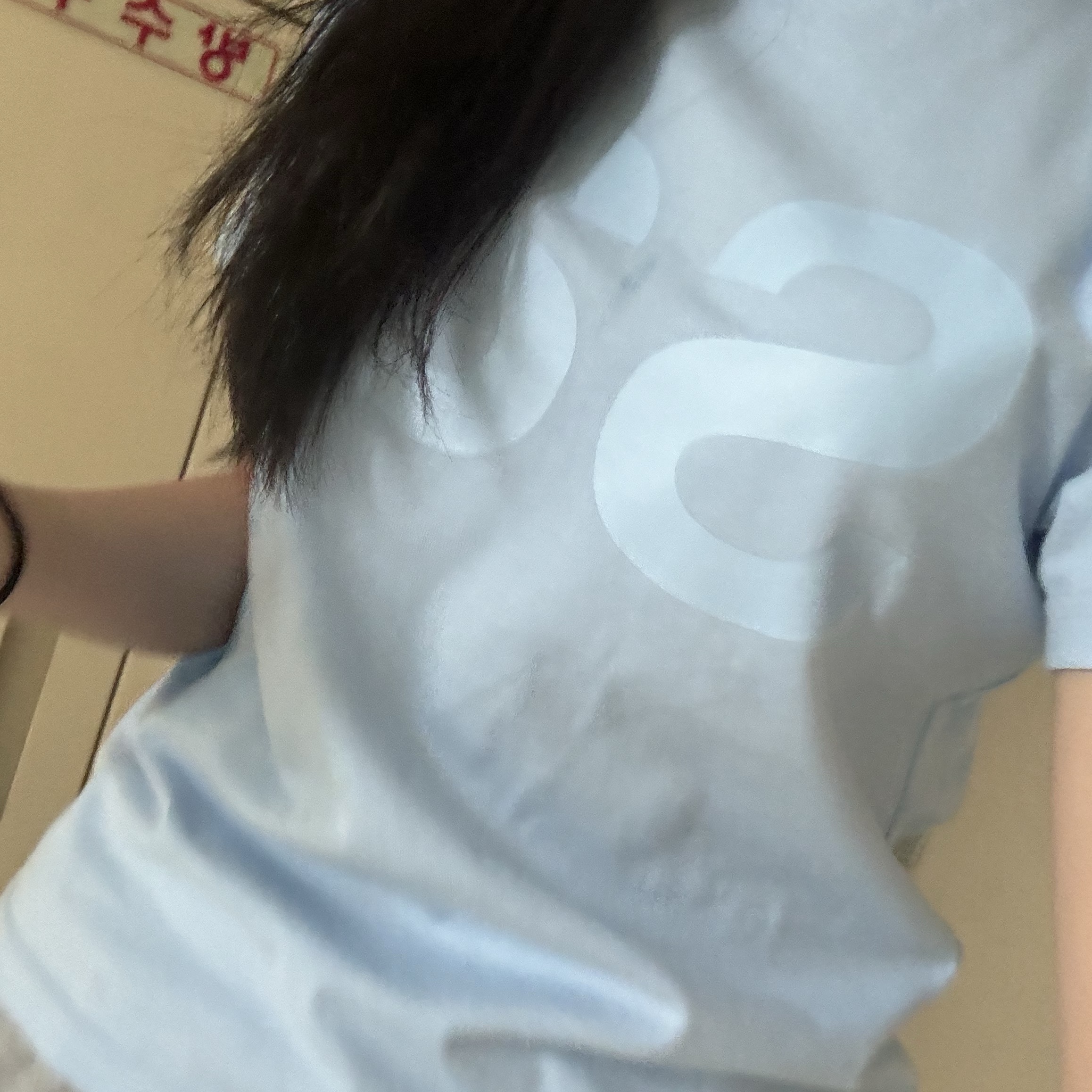 [KREAM 단독] Safarispot 1/2 Basic Safari T-Shirt Sky 착용 스타일