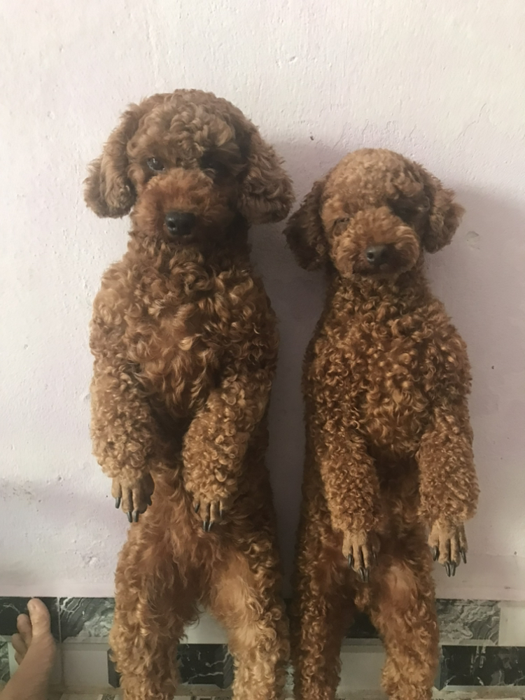 관심 유저 프로필 이미지