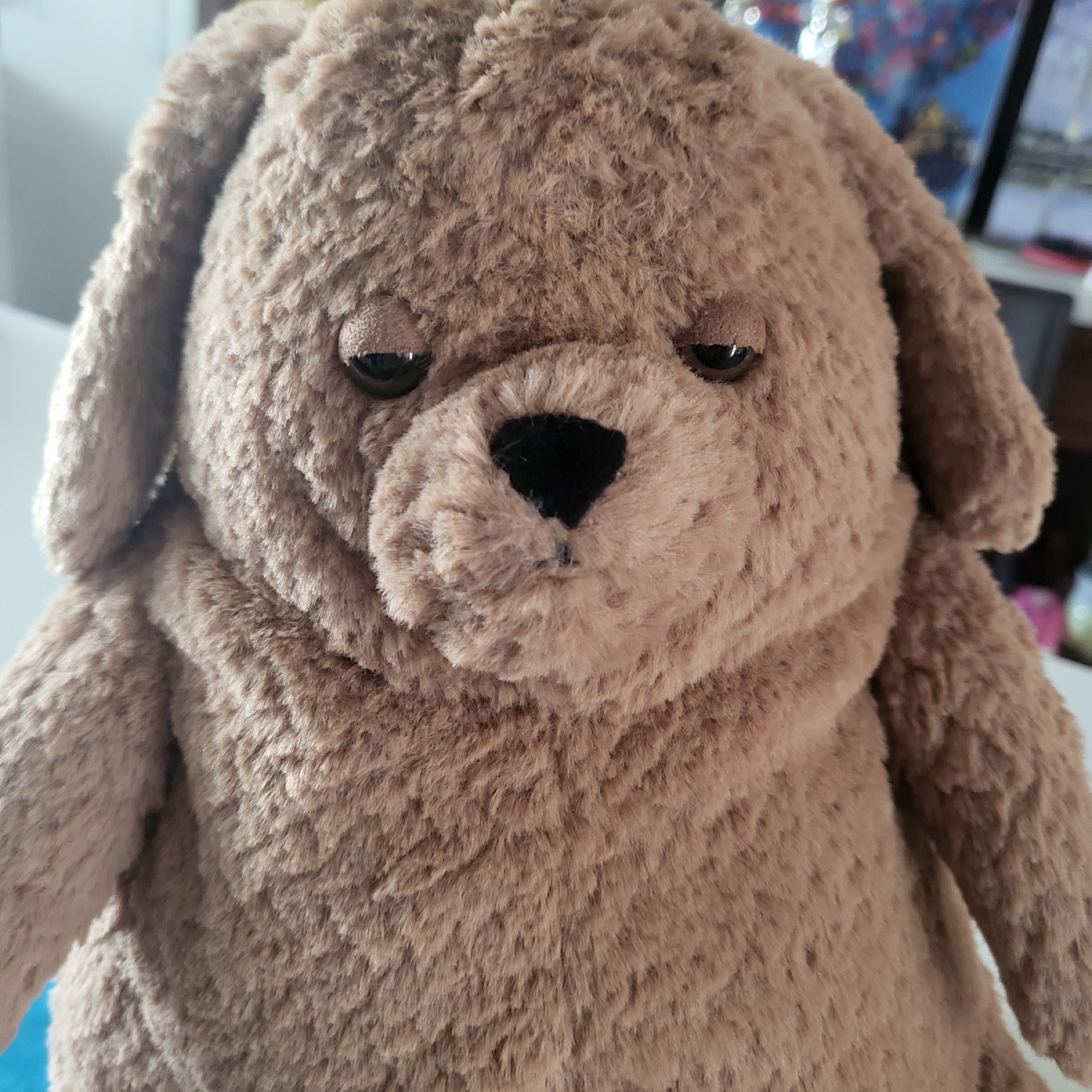 Jellycat Amore Dog Brown 착용 스타일