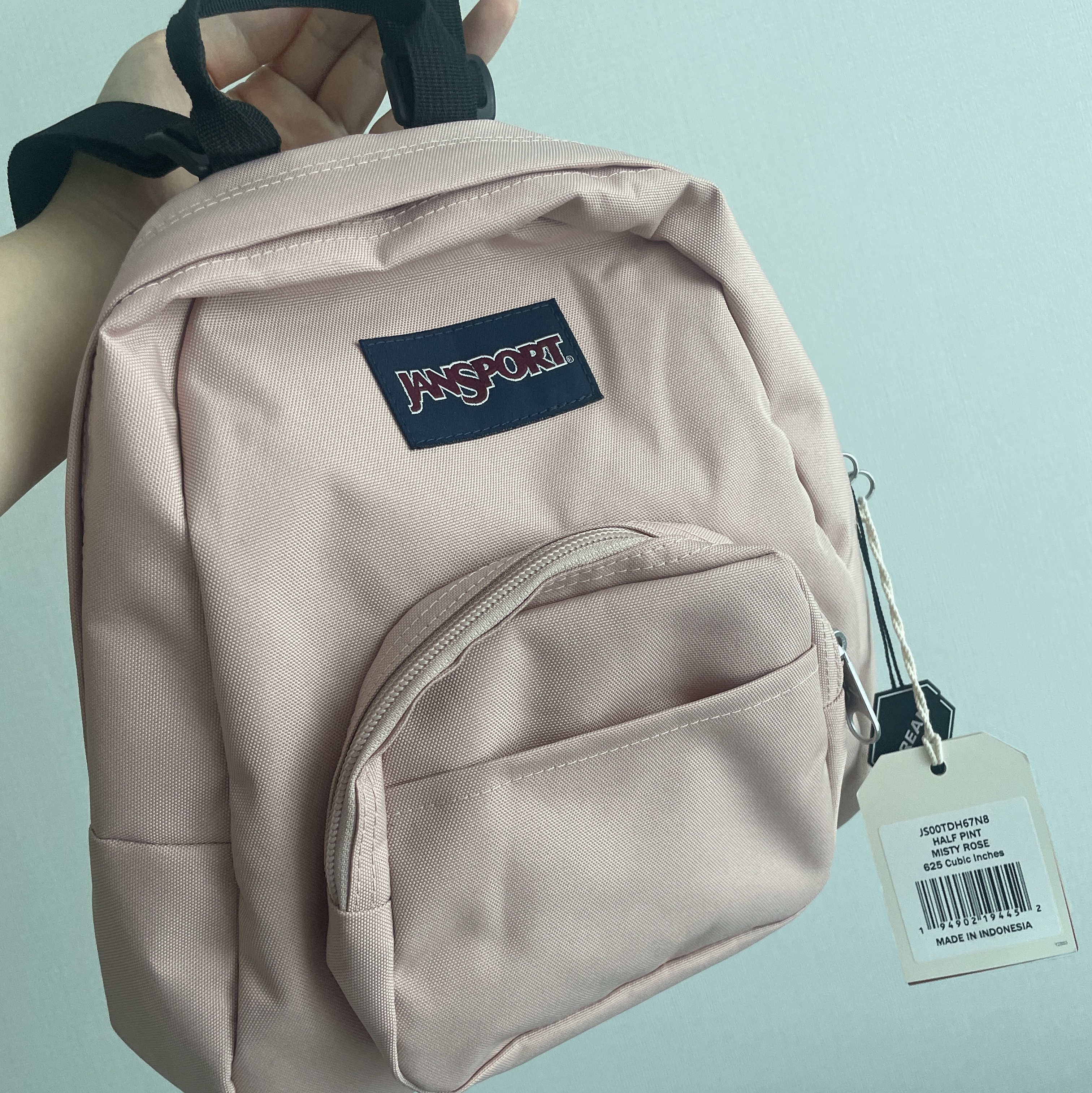 Jansport Half Pint Mini Backpack Misty Rose 착용 스타일