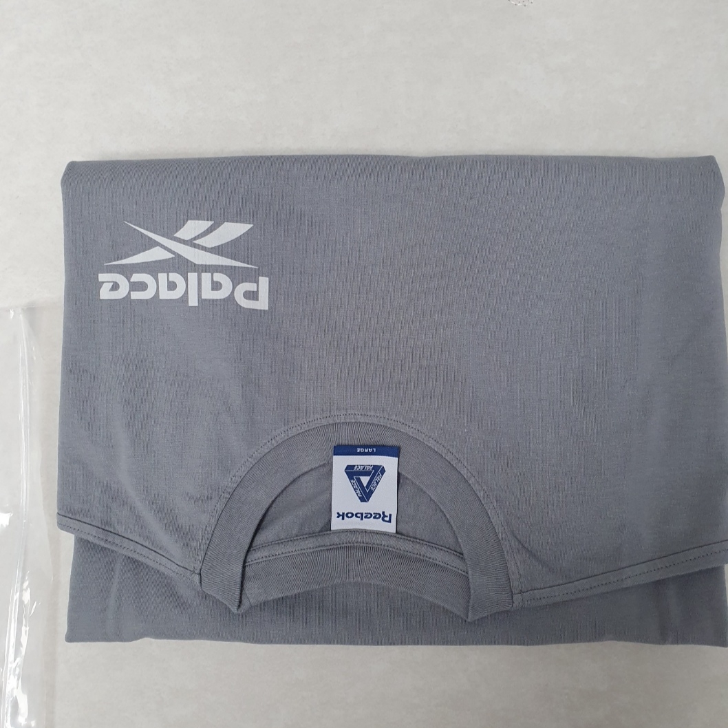 Palace x Reebok T-Shirt Grey - 24SS 착용 스타일 - 2