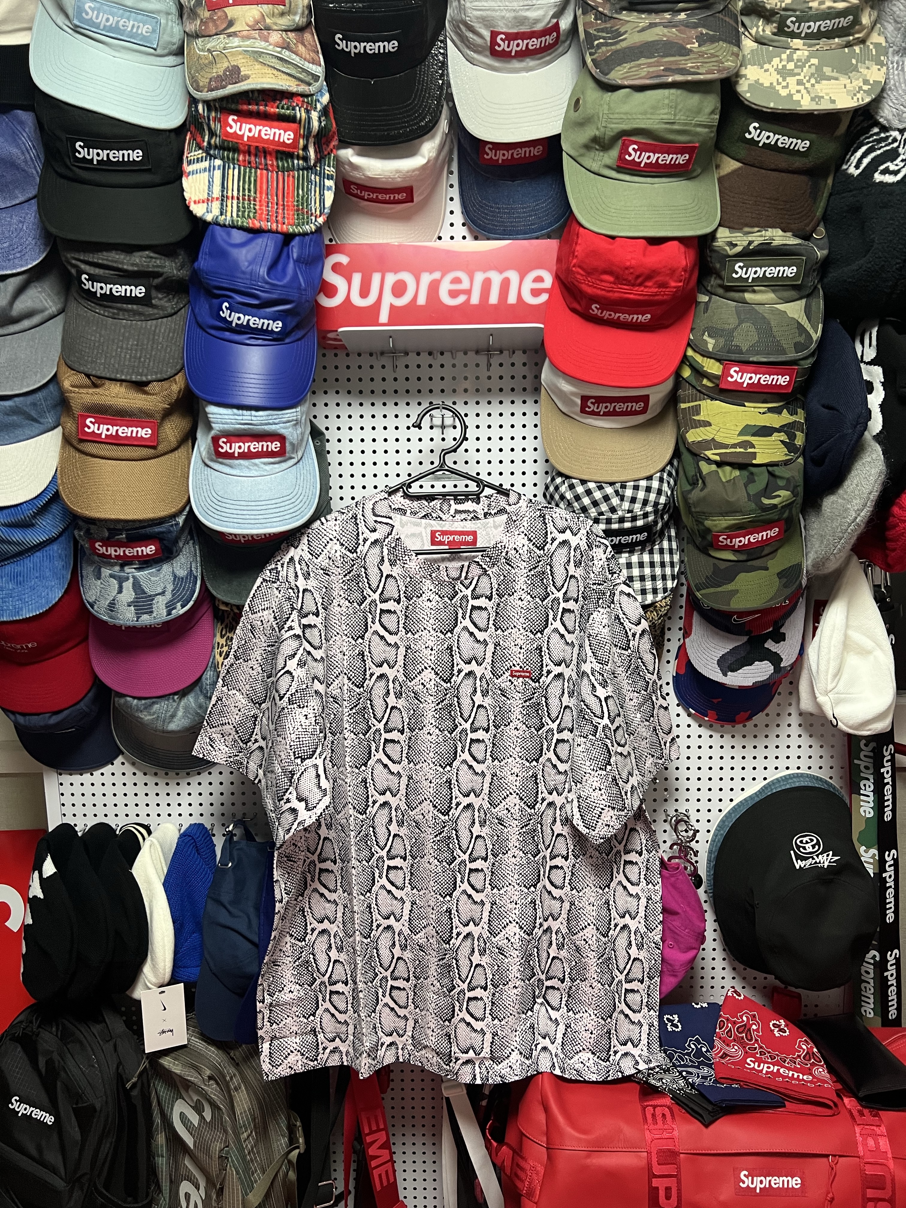 Supreme Small Box T-Shirt Snake - 24SS 착용 스타일 - 1