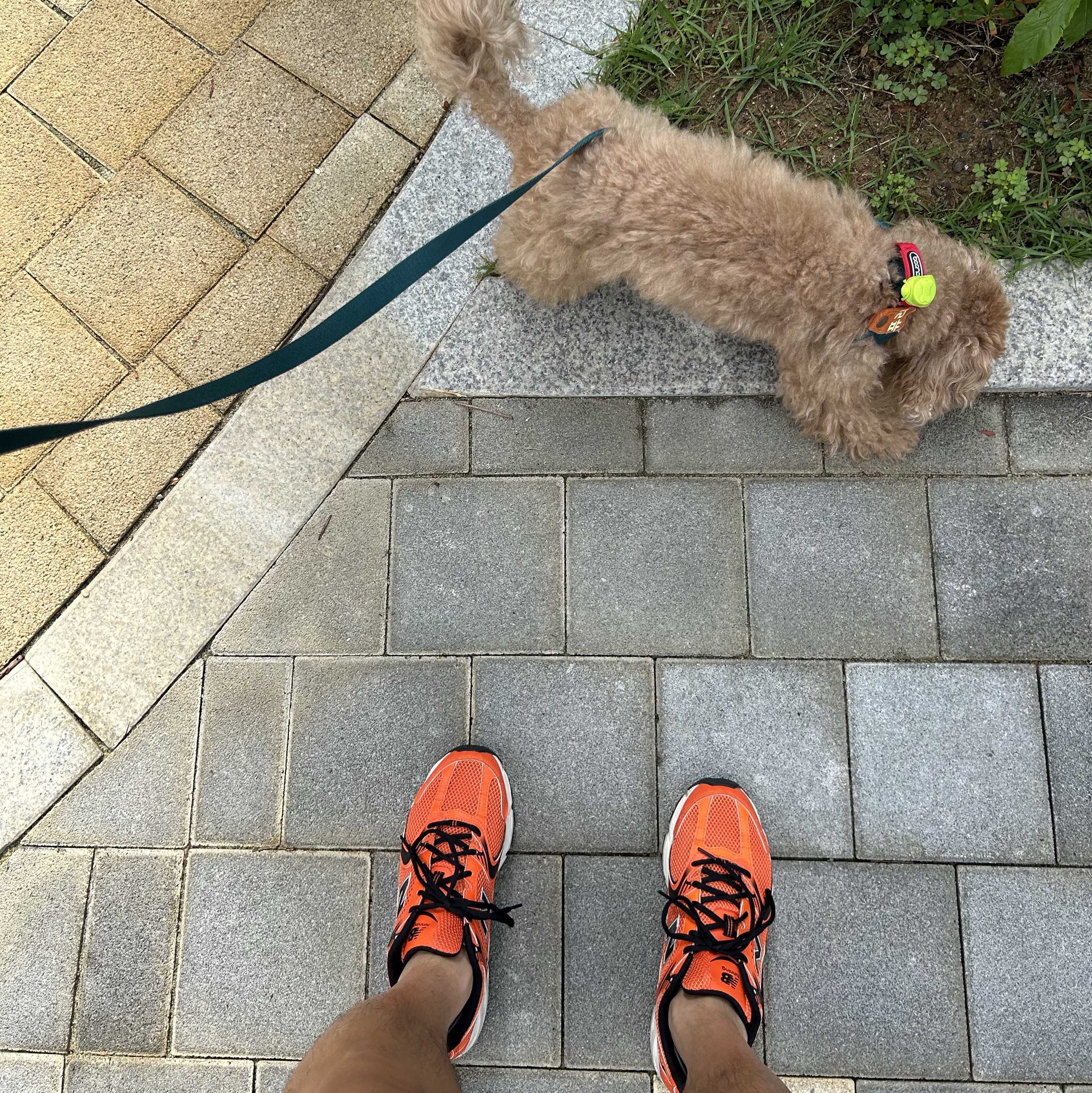 New Balance 530 Neon Orange 착용 스타일