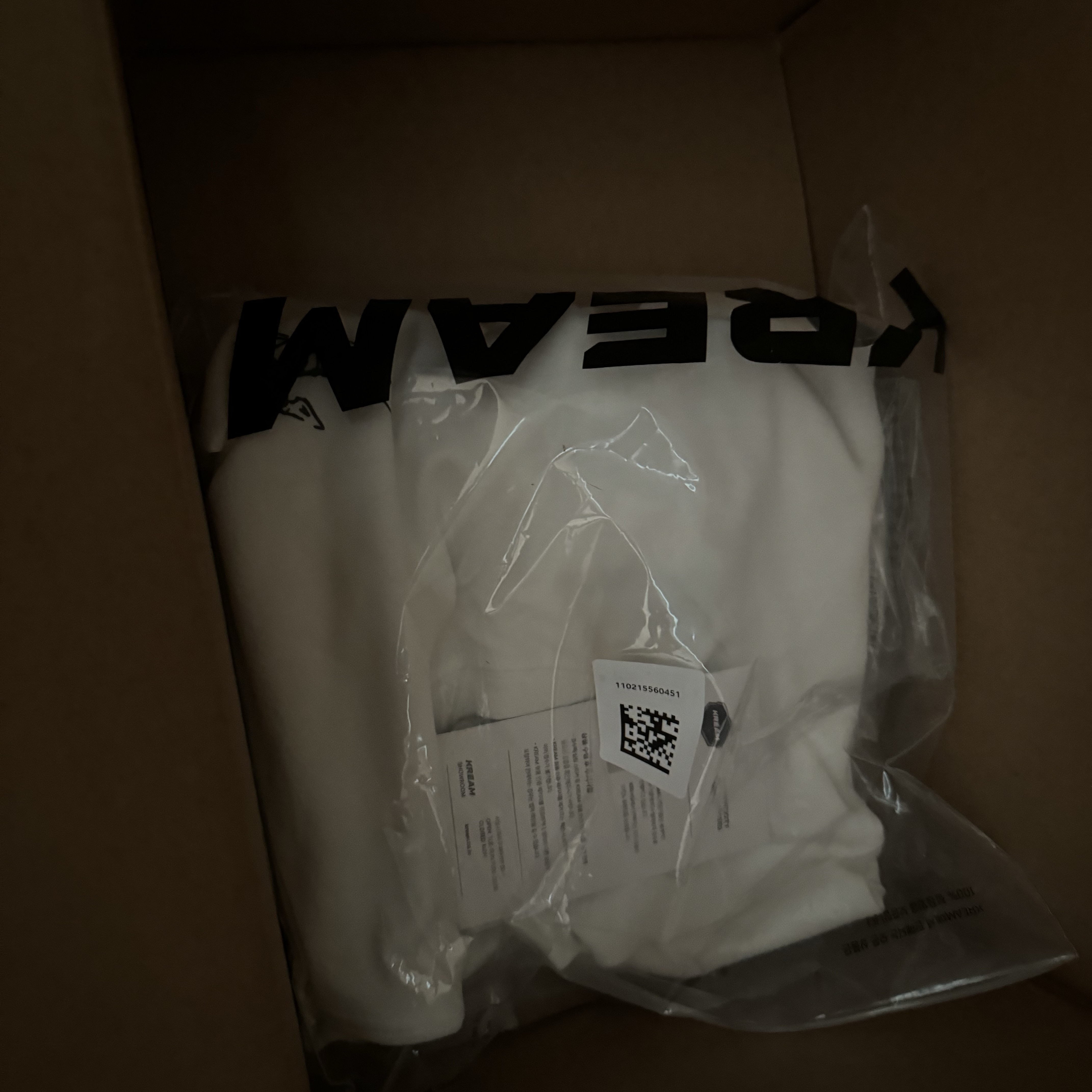 Arc'teryx Arc'Multi Bird Logo LS T-Shirt White Light 착용 스타일