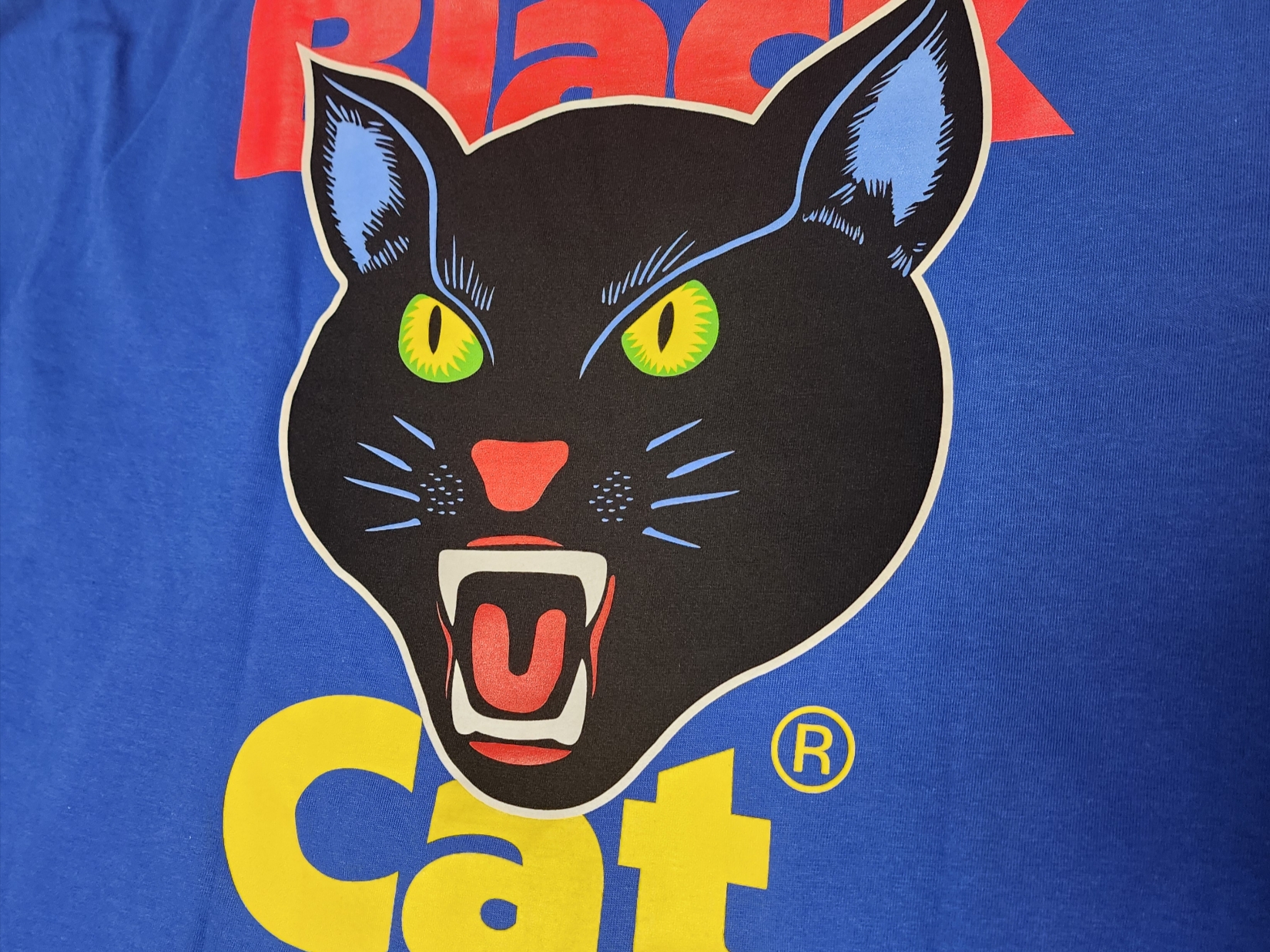Supreme Black Cat T-Shirt Royal - 24SS 착용 스타일 - 2