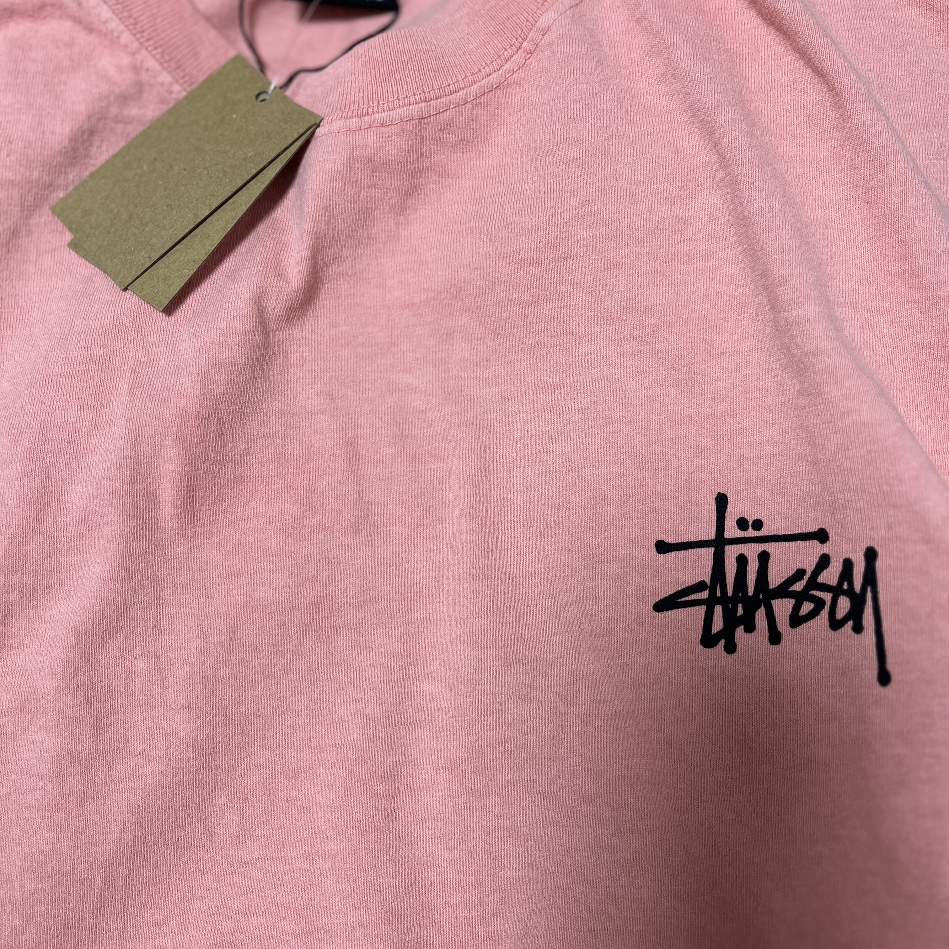 Stussy Basic Stussy Pigment Dyed T-Shirt Coral 2024 착용 스타일