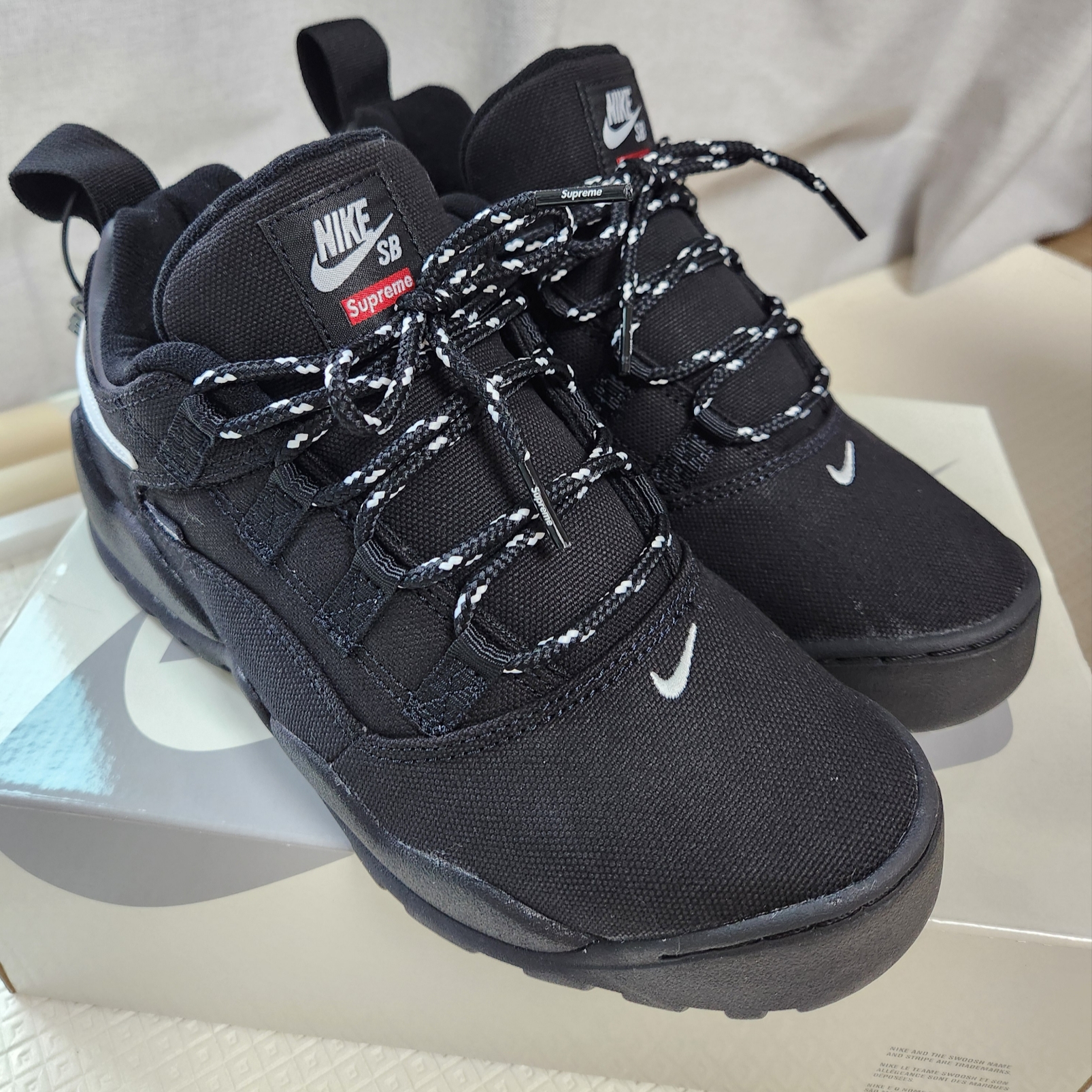 Nike x Supreme SB Darwin Low Black, Supreme x Champion Mesh Short Black - 24SS 착용 스타일 - 4