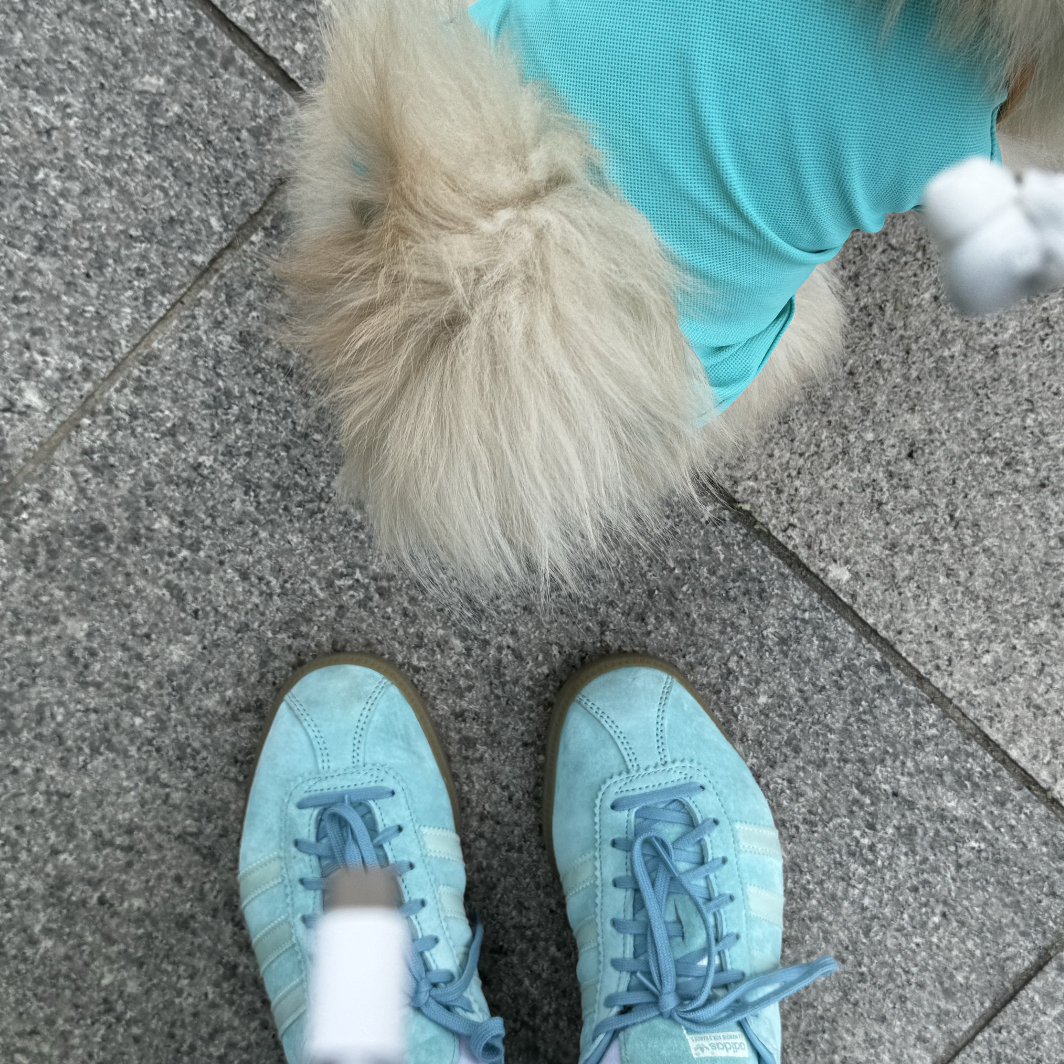 Adidas Bermuda Easy Mint 착용 스타일