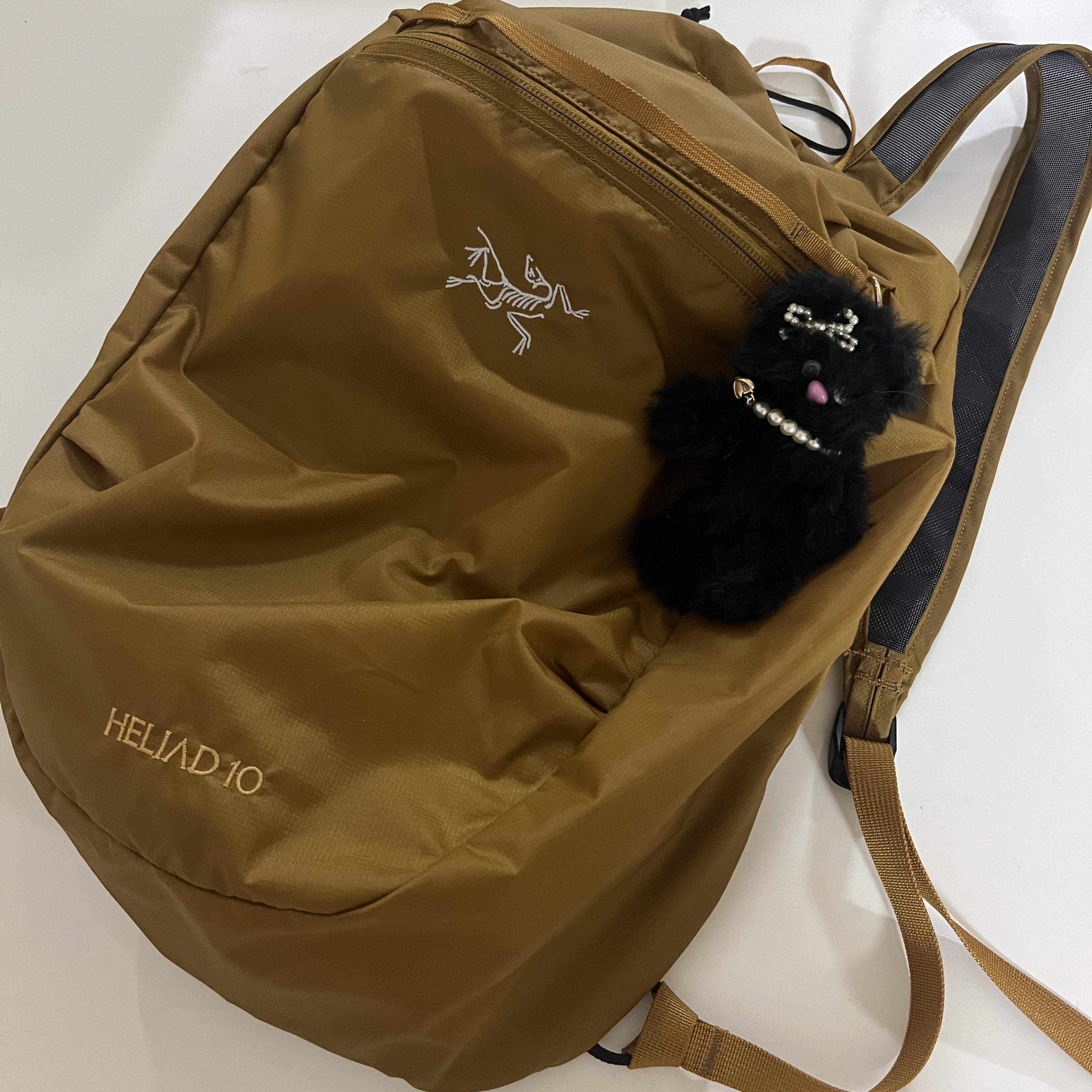 Arc'teryx Heliad 10 Backpack Yukon 착용 스타일