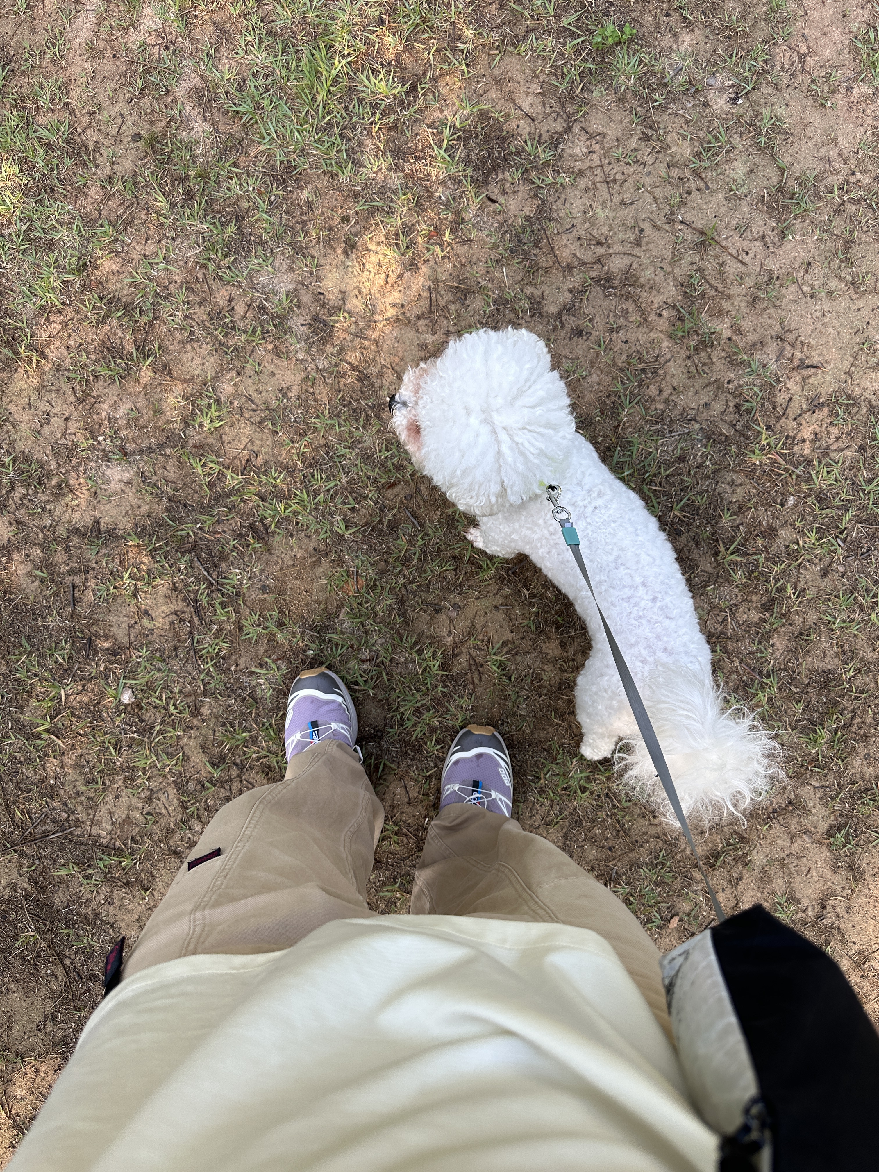 Salomon XT-6 Quail Plum Kitten 착용 스타일