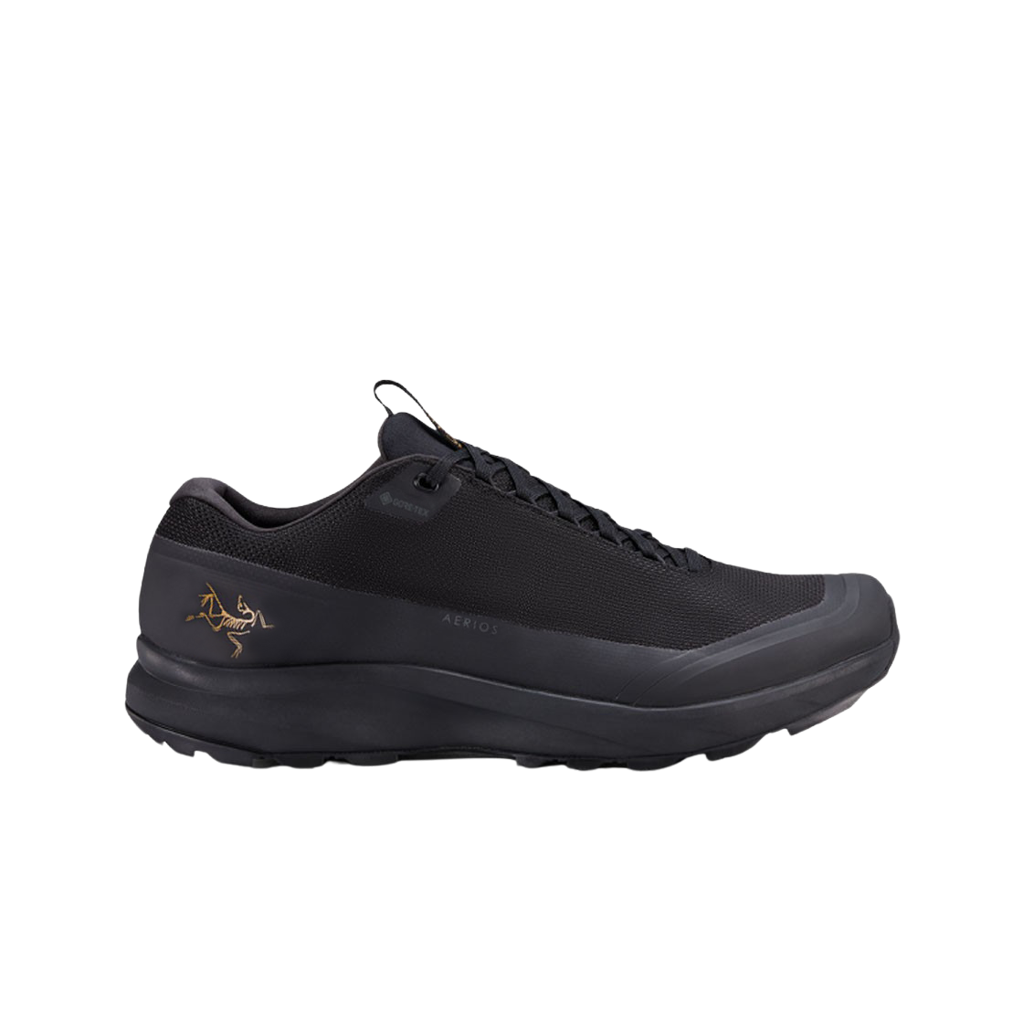 아크테릭스 에어리어스 고어텍스 블랙(Arc'teryx Aerios GTX Black)