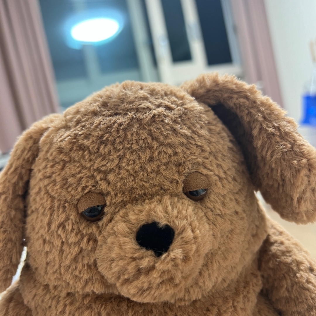 Jellycat Amore Dog Brown 착용 스타일