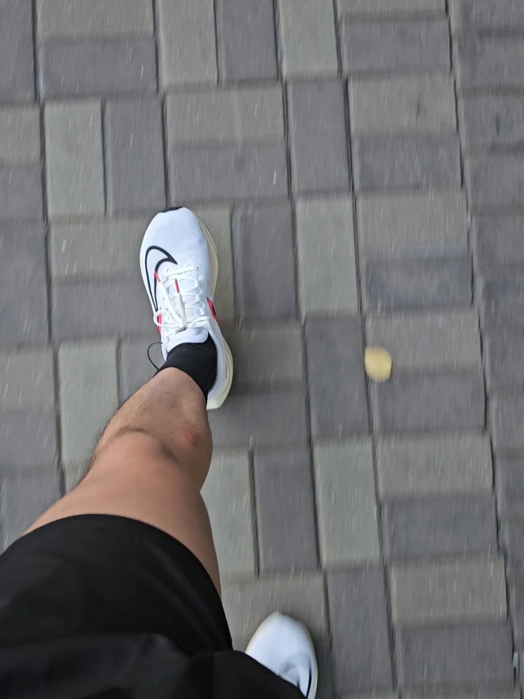 Nike Zoom Fly 5 Eliud Kipchoge 착용 스타일 - 1