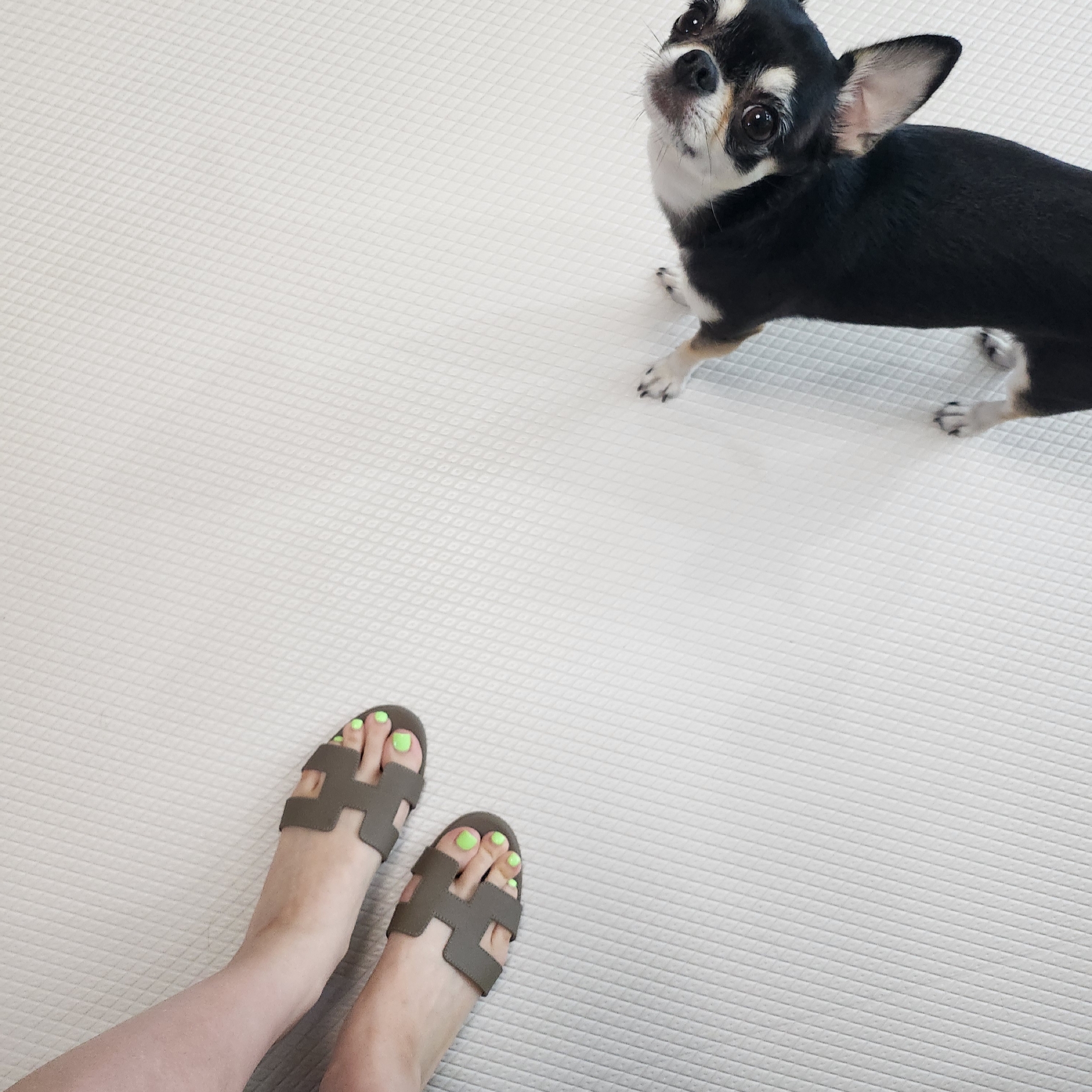 (W) Hermes Oasis Sandal Epsom & Etoupe 착용 스타일