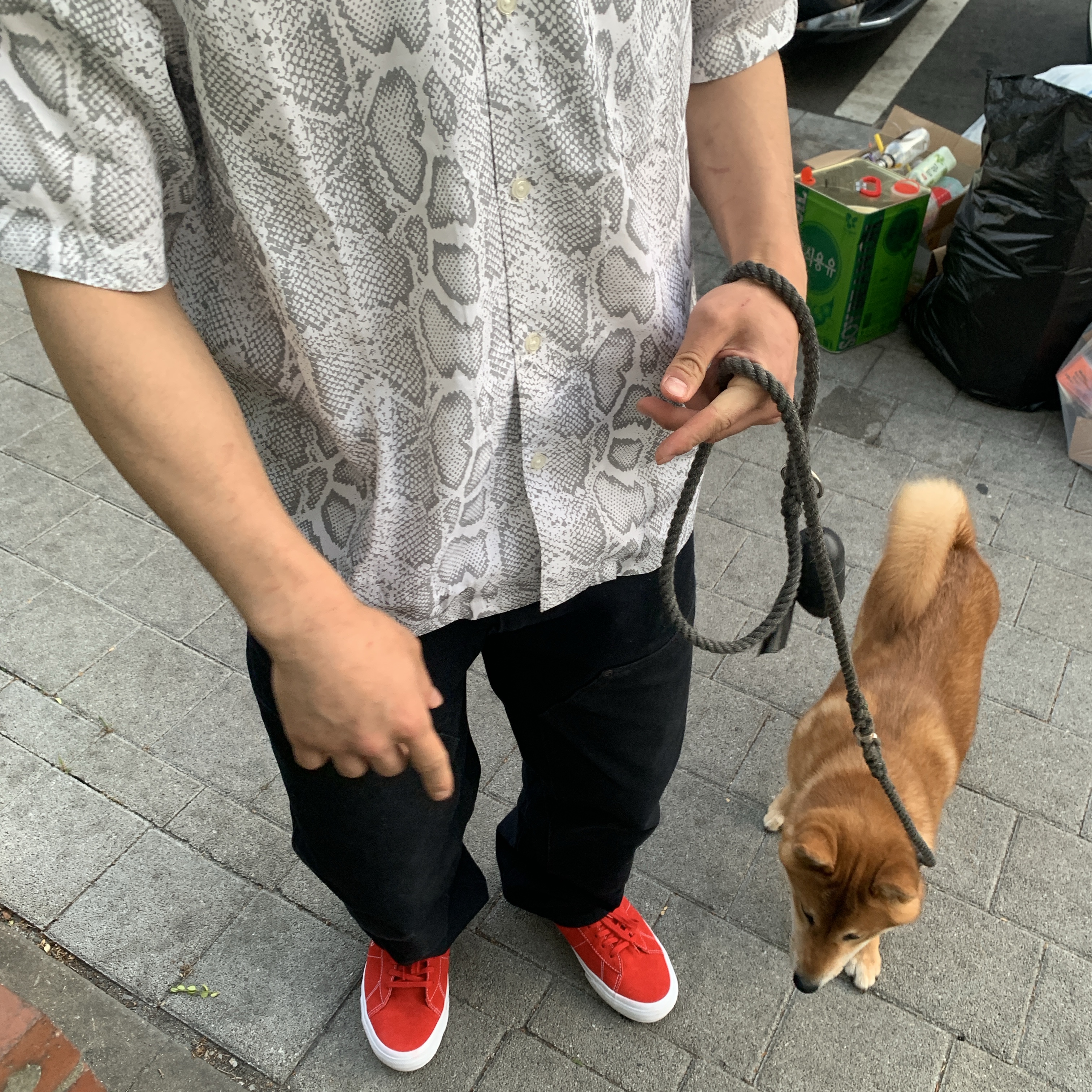 Vans x Supreme Sid Red, Supreme Snake S/S Shirt White - 24SS 착용 스타일 - 1
