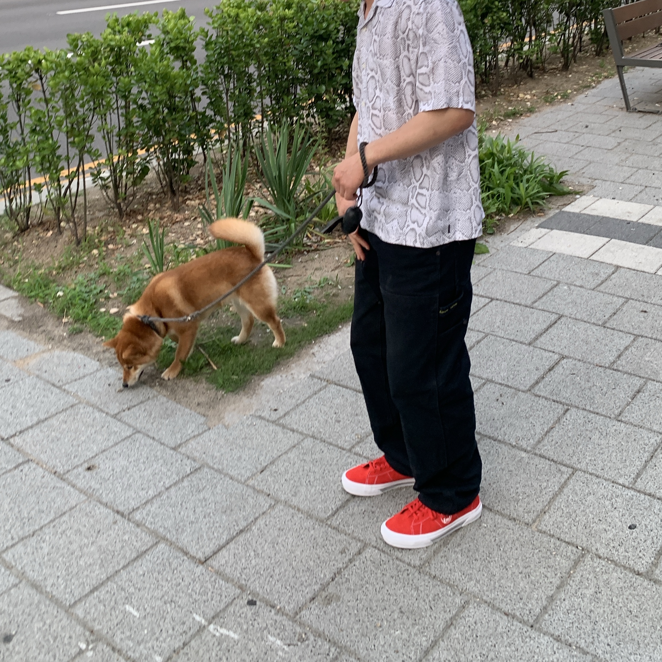 Vans x Supreme Sid Red, Supreme Snake S/S Shirt White - 24SS 착용 스타일 - 3