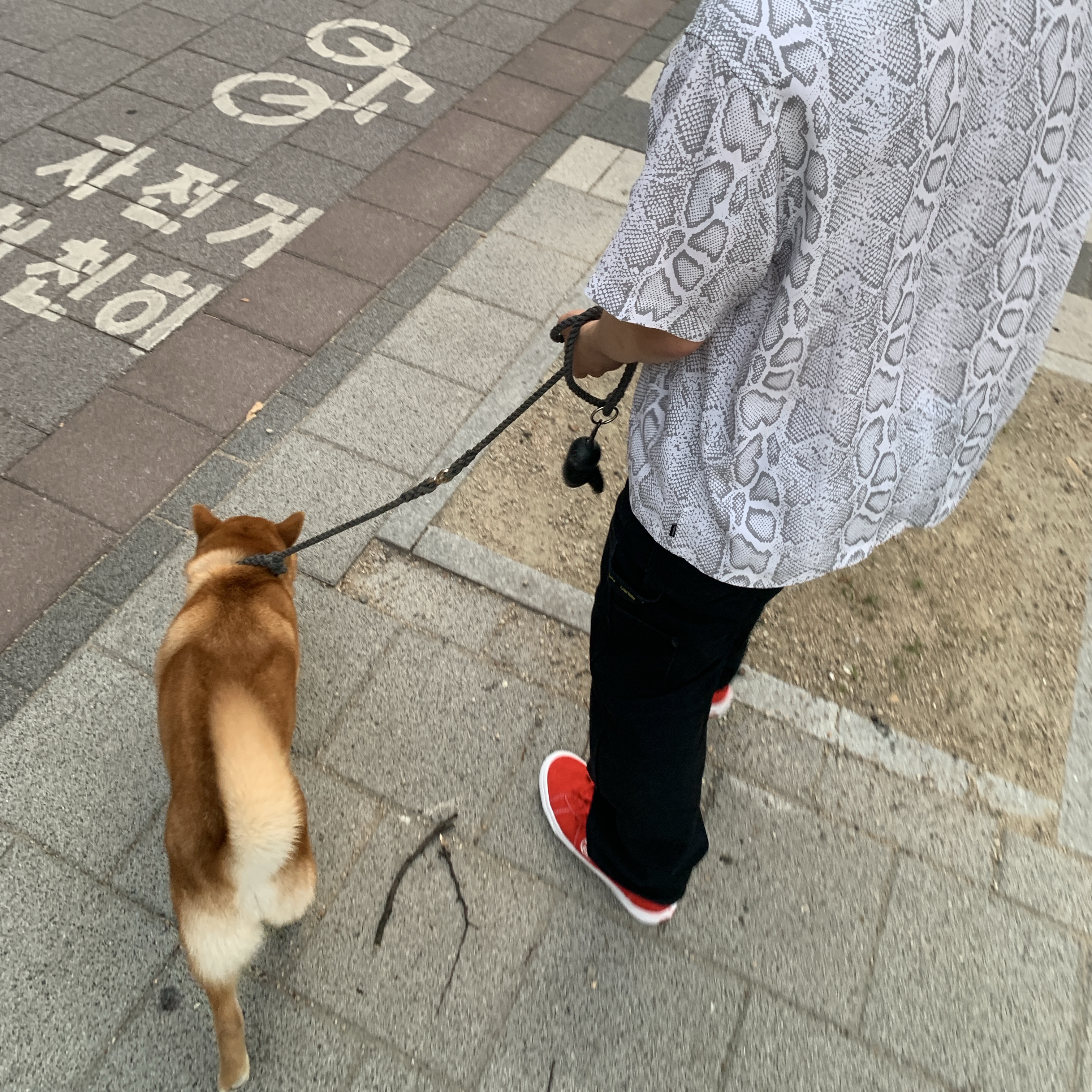Vans x Supreme Sid Red, Supreme Snake S/S Shirt White - 24SS 착용 스타일 - 2