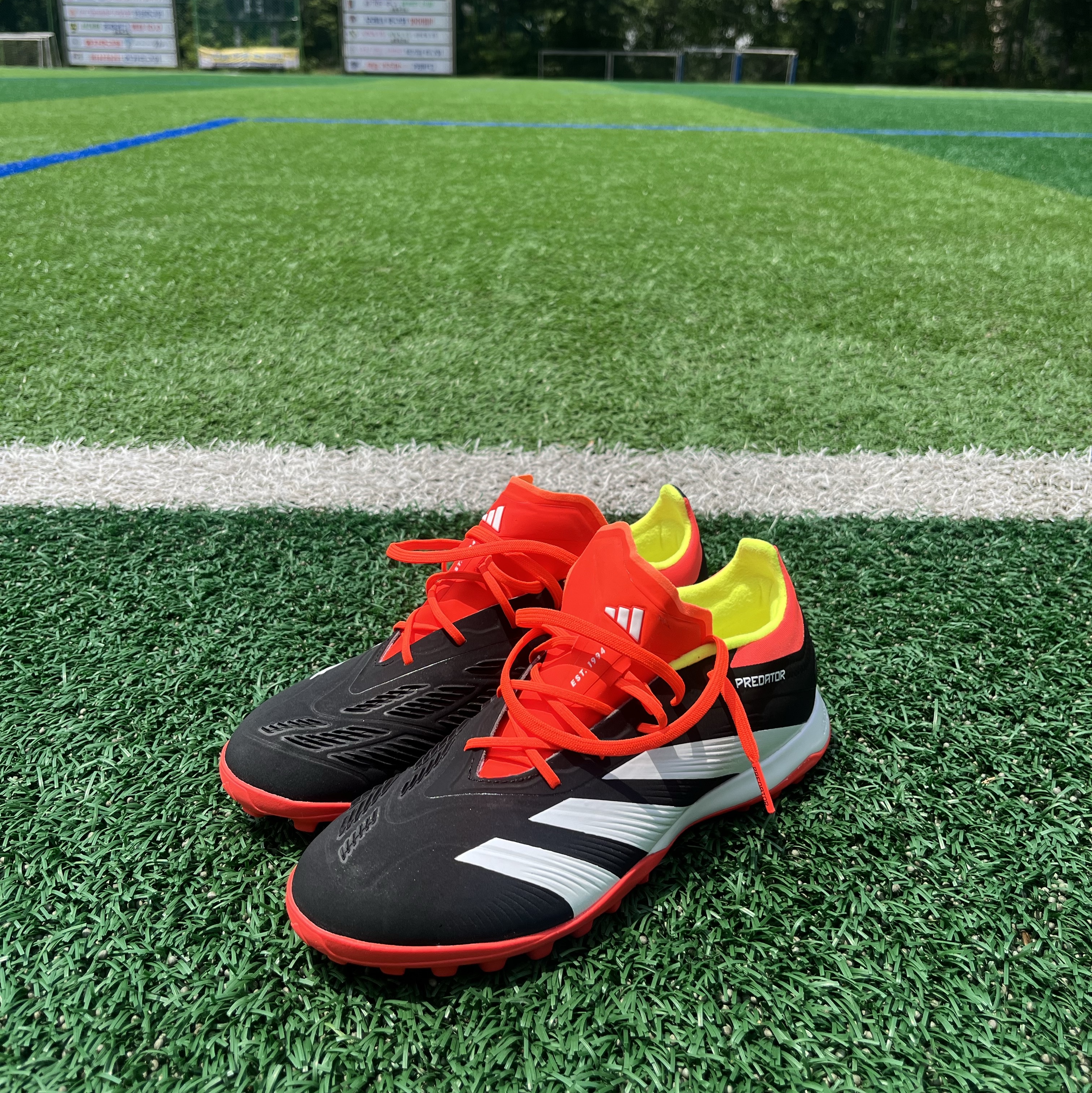 Adidas Predator 24 Elite TF Core Black Cloud White 착용 스타일 - 3