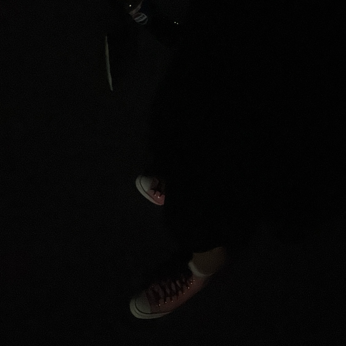 Converse x Stussy Chuck 70 High Plumeria 착용 스타일