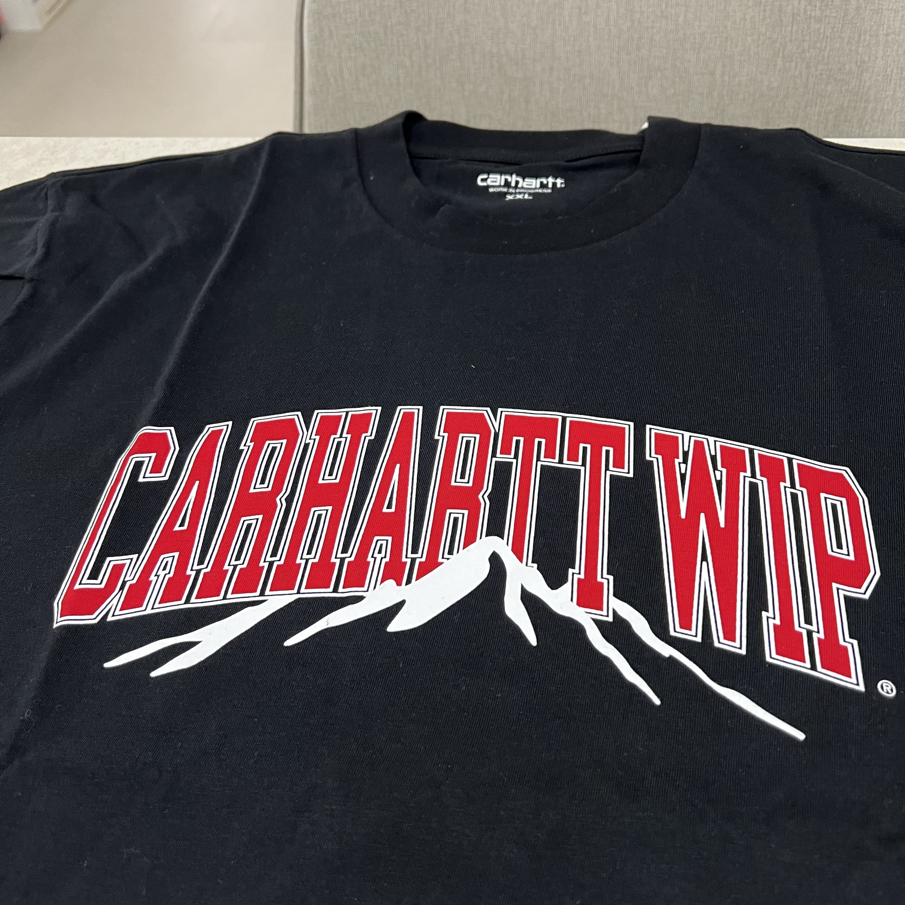 Carhartt WIP S/S Mountain College T-Shirt Black, Carhartt WIP Mountain College T-Shirt White 착용 스타일 - 2