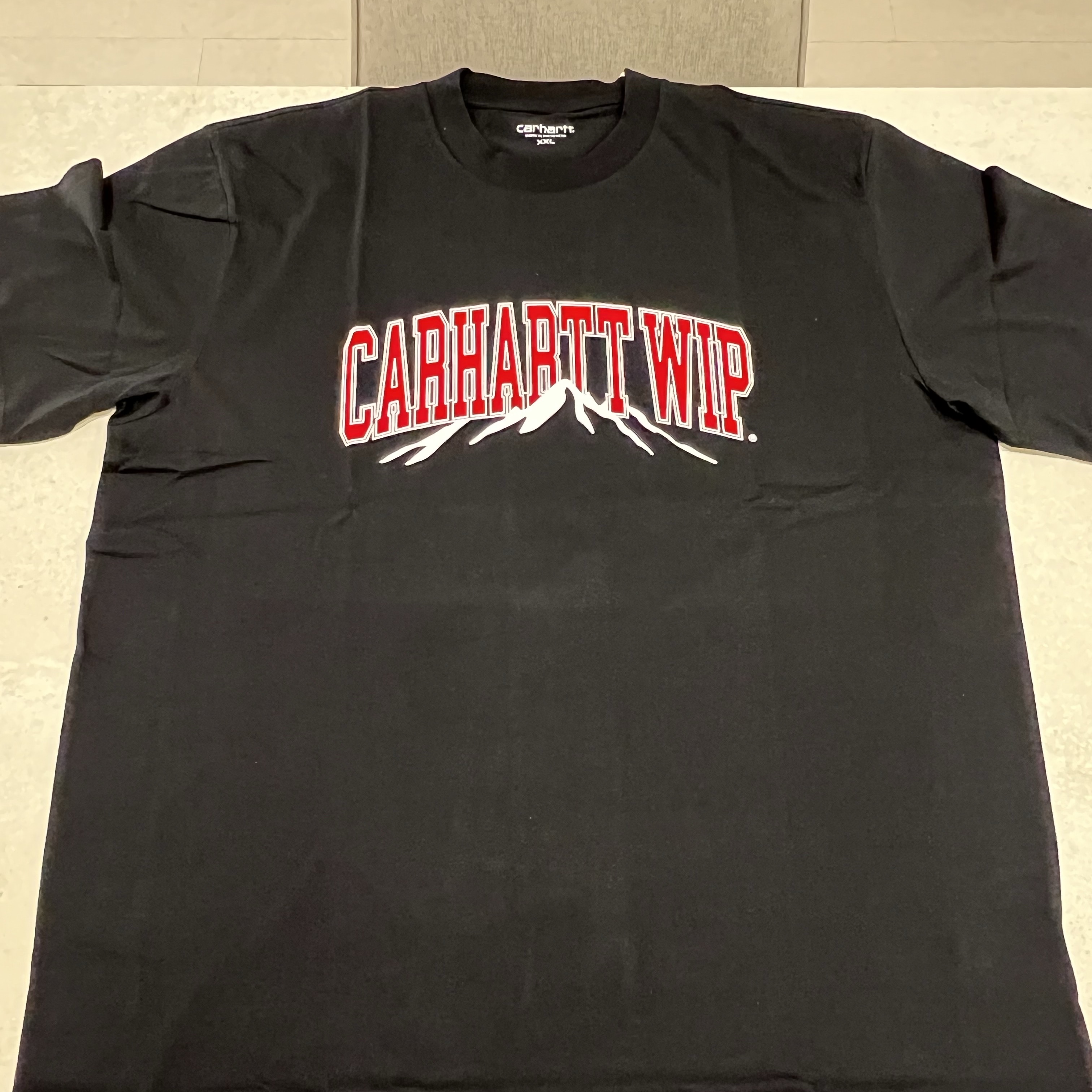 Carhartt WIP S/S Mountain College T-Shirt Black, Carhartt WIP Mountain College T-Shirt White 착용 스타일 - 1