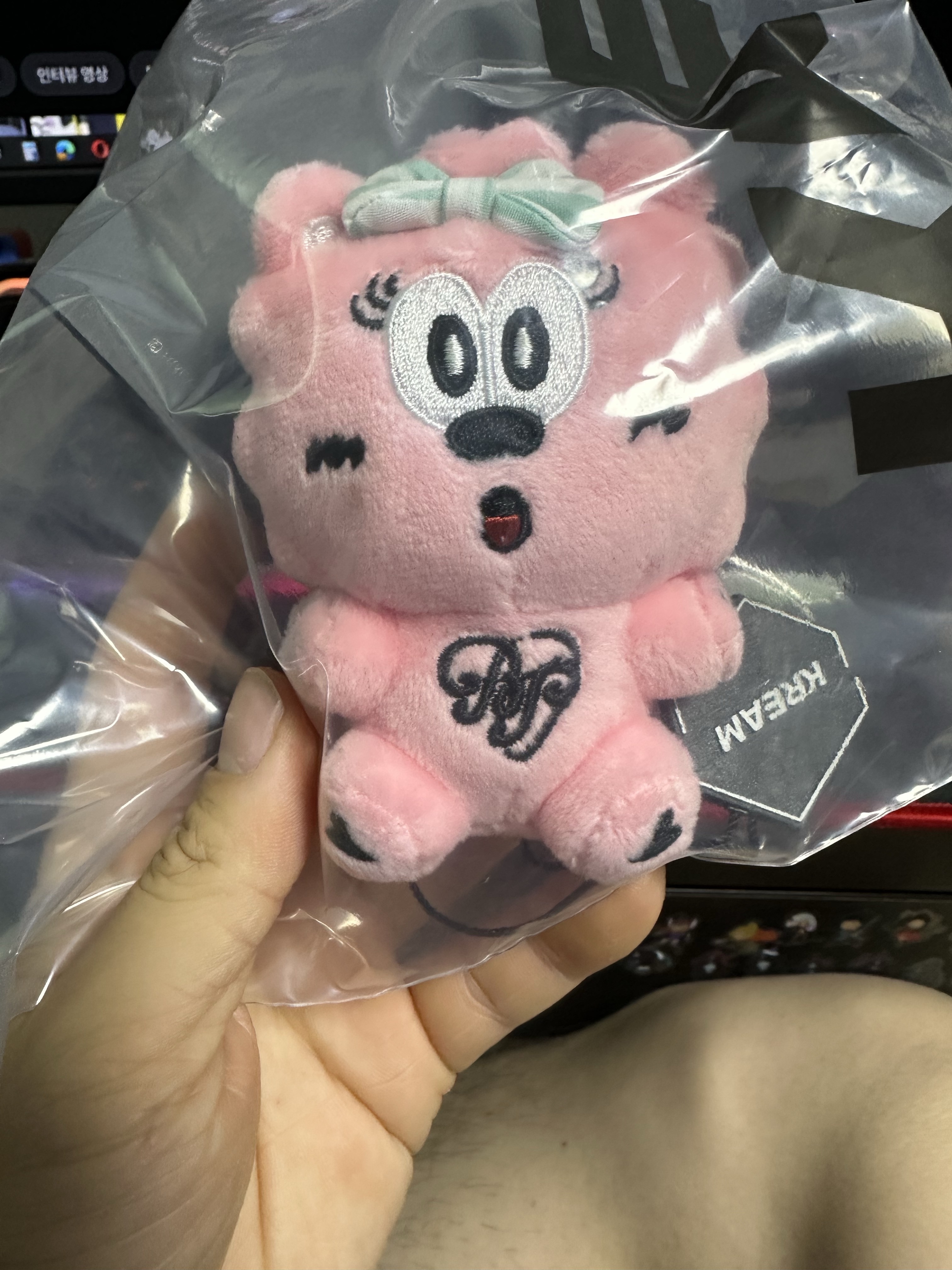 Verdy x Blackpink Binky Keychain Pink 착용 스타일