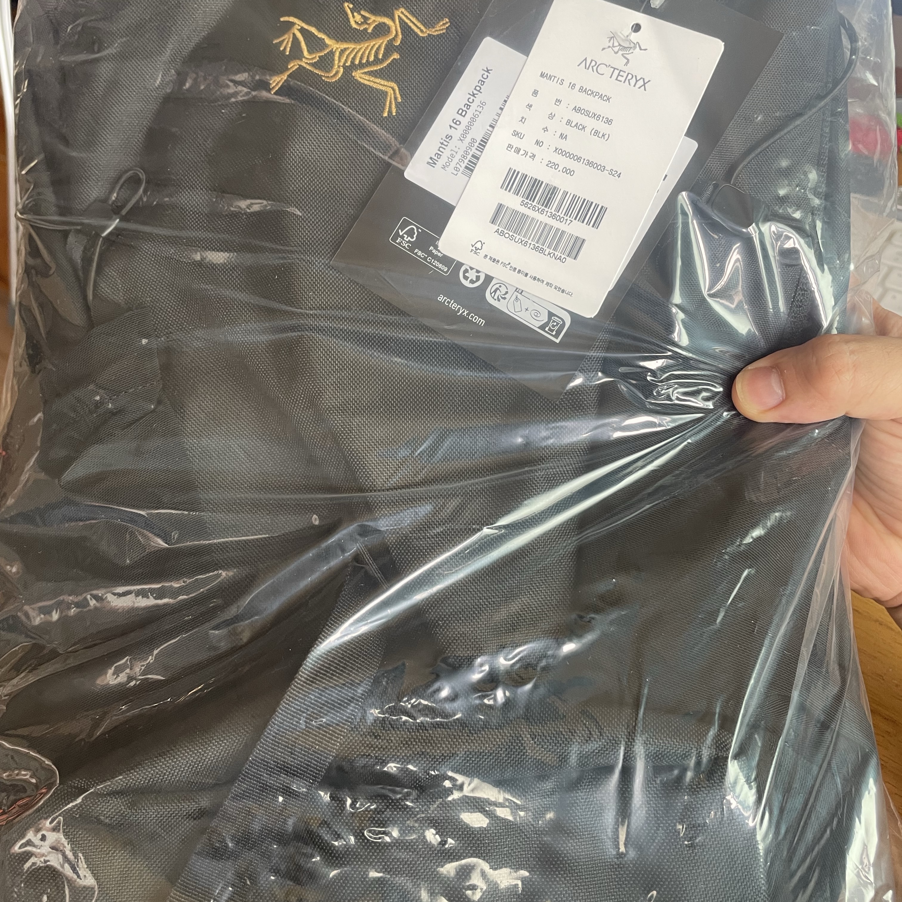 Arc'teryx Mantis 16 Backpack Black 착용 스타일