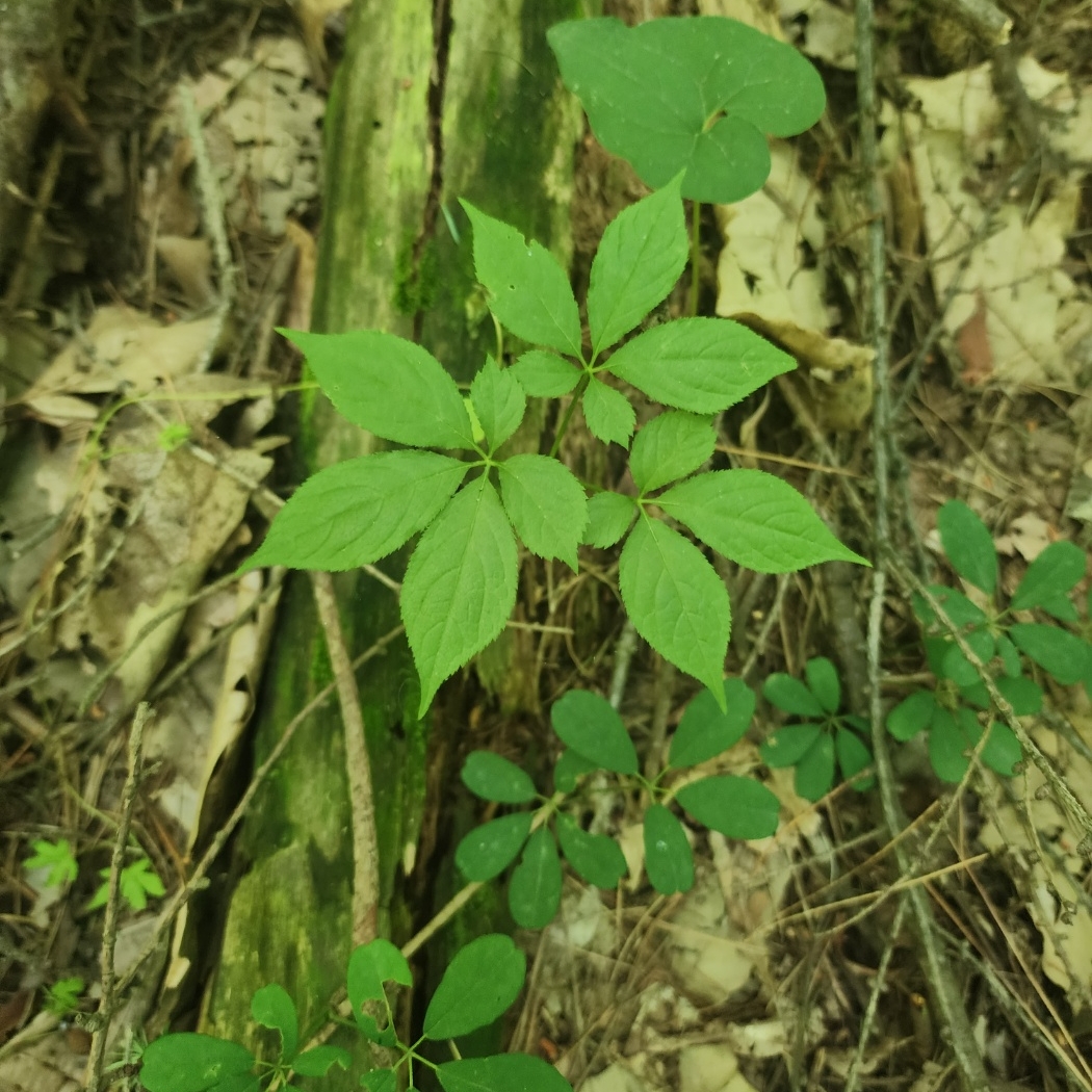 속리원빈님의 스타일 - 3