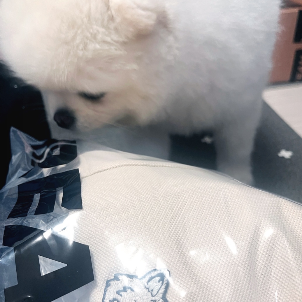 Maison Kitsune Bold Fox Head Patch Oversize Polo Paper 착용 스타일 - 1