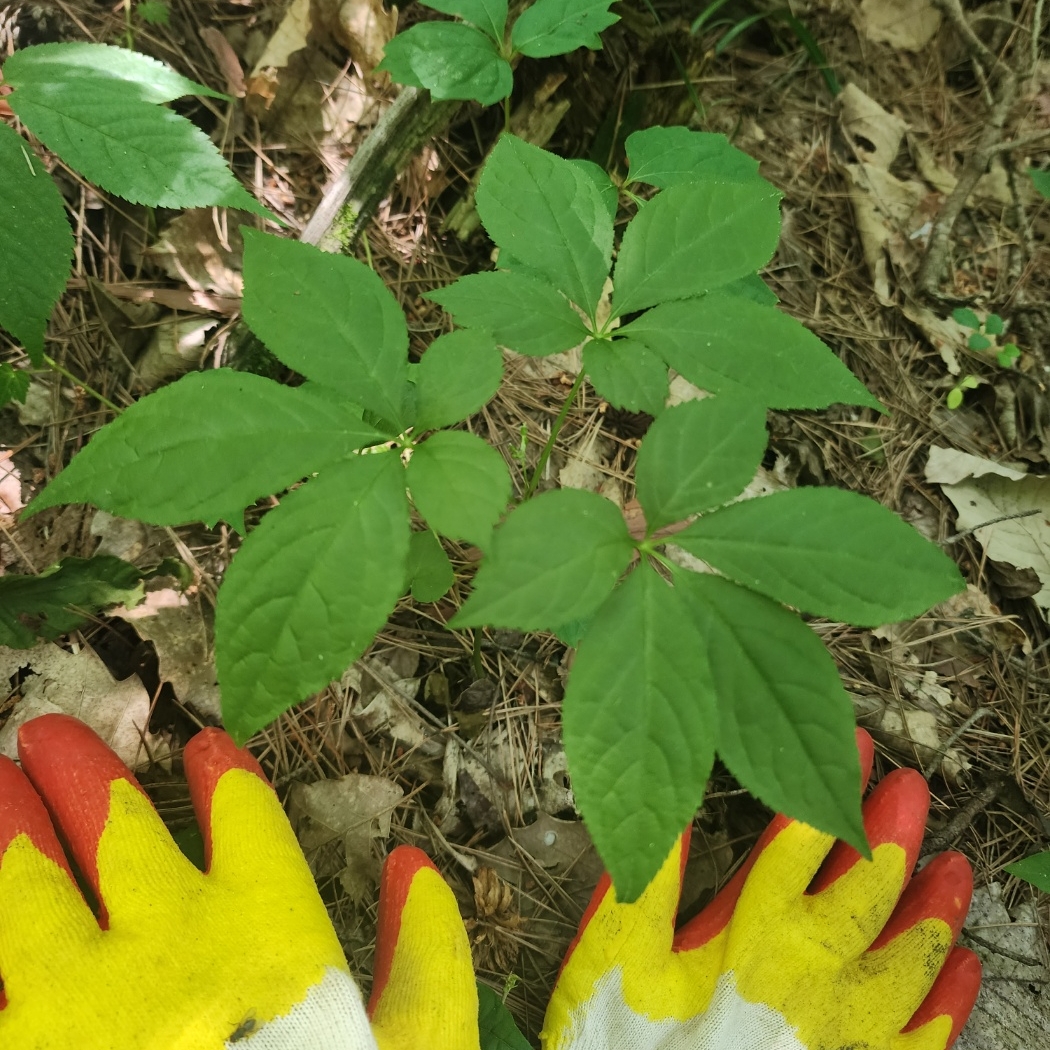 속리원빈님의 스타일 - 2