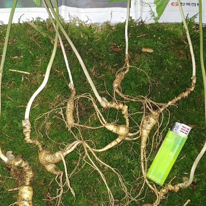 속리원빈님의 스타일 - 5