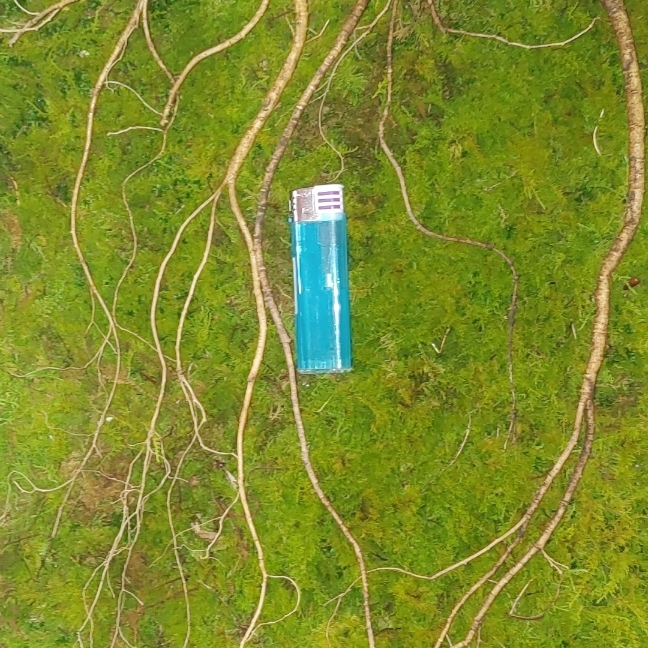 속리원빈님의 스타일 - 6