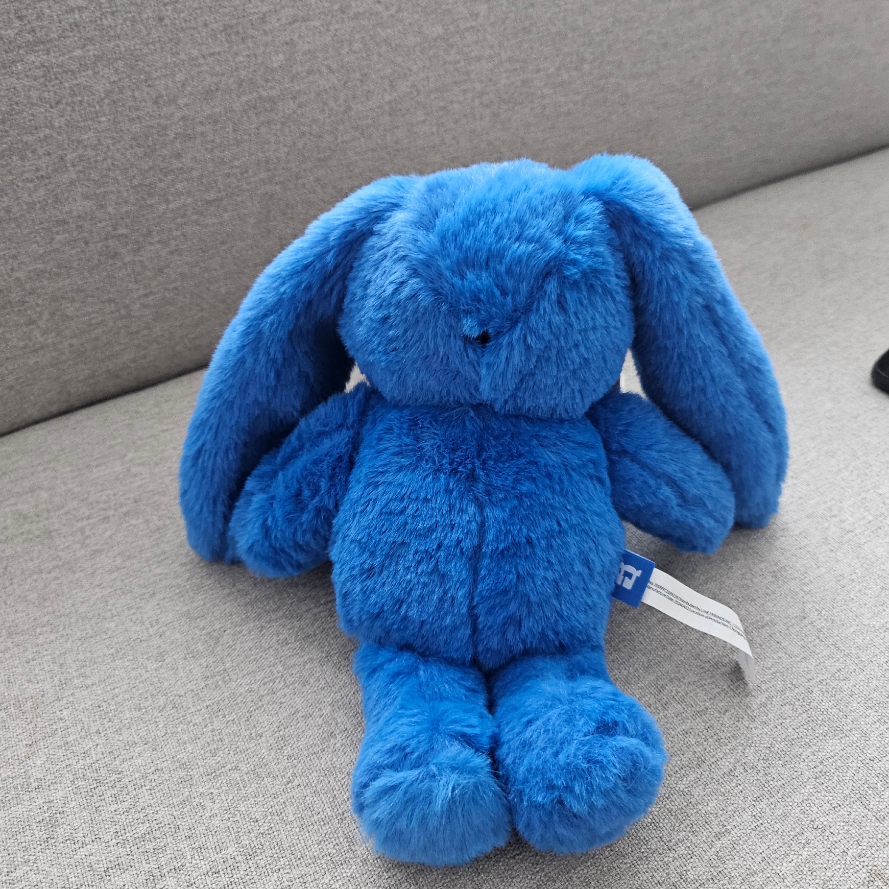 NewJeans x Coller Rabbit Pouch Tide Blue 착용 스타일 - 1
