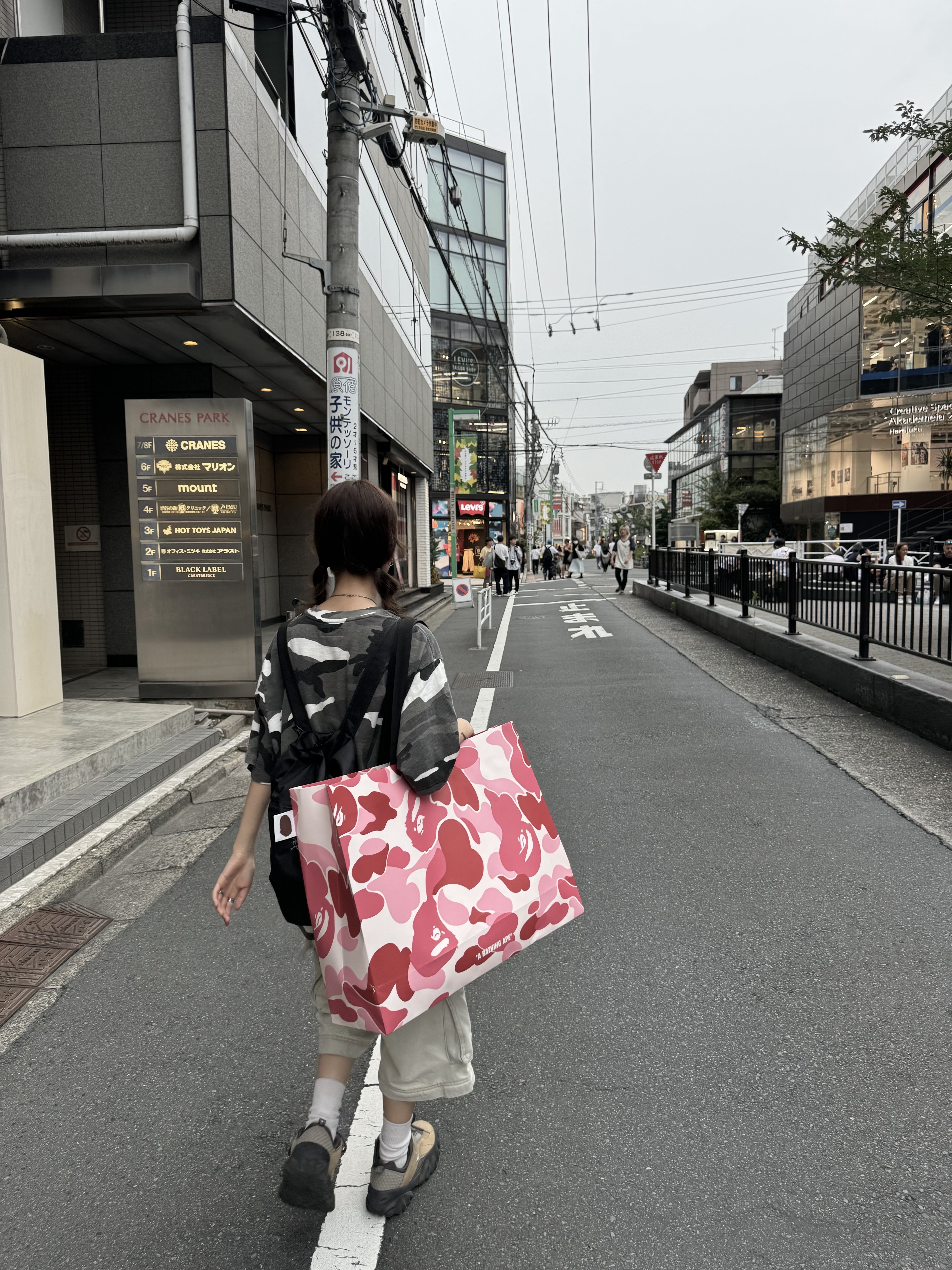 Supreme Collegiate S/S Top Snow Camo - 23FW, Oakley Factory Team x Brain Dead Chop Saw Mocha 착용 스타일 - 2