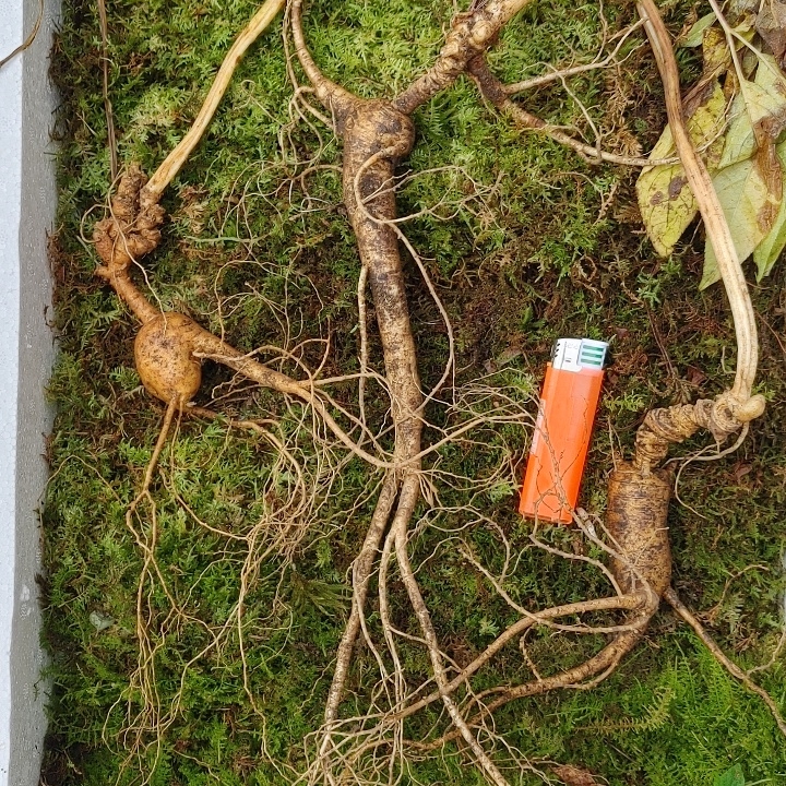 속리원빈님의 스타일 - 4