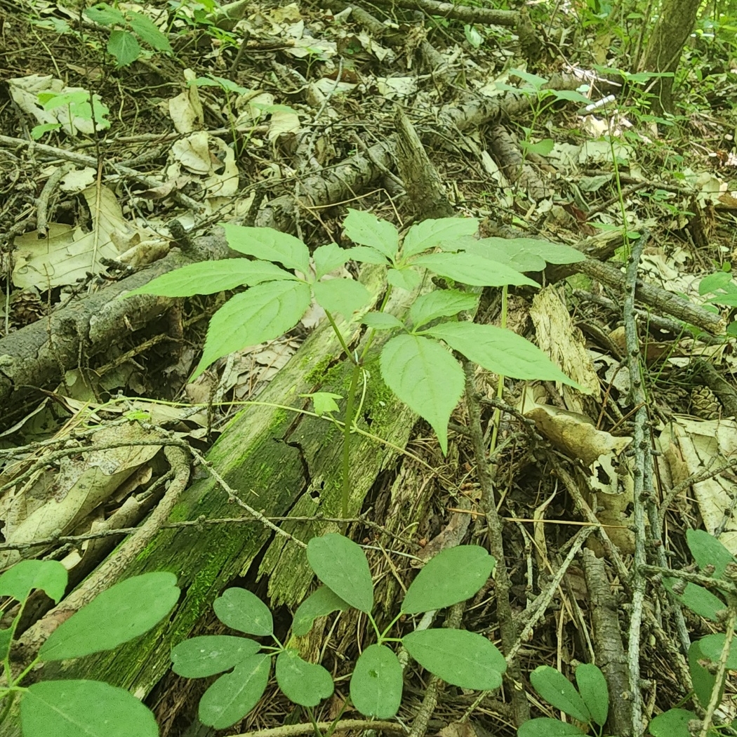 속리원빈님의 스타일 - 1