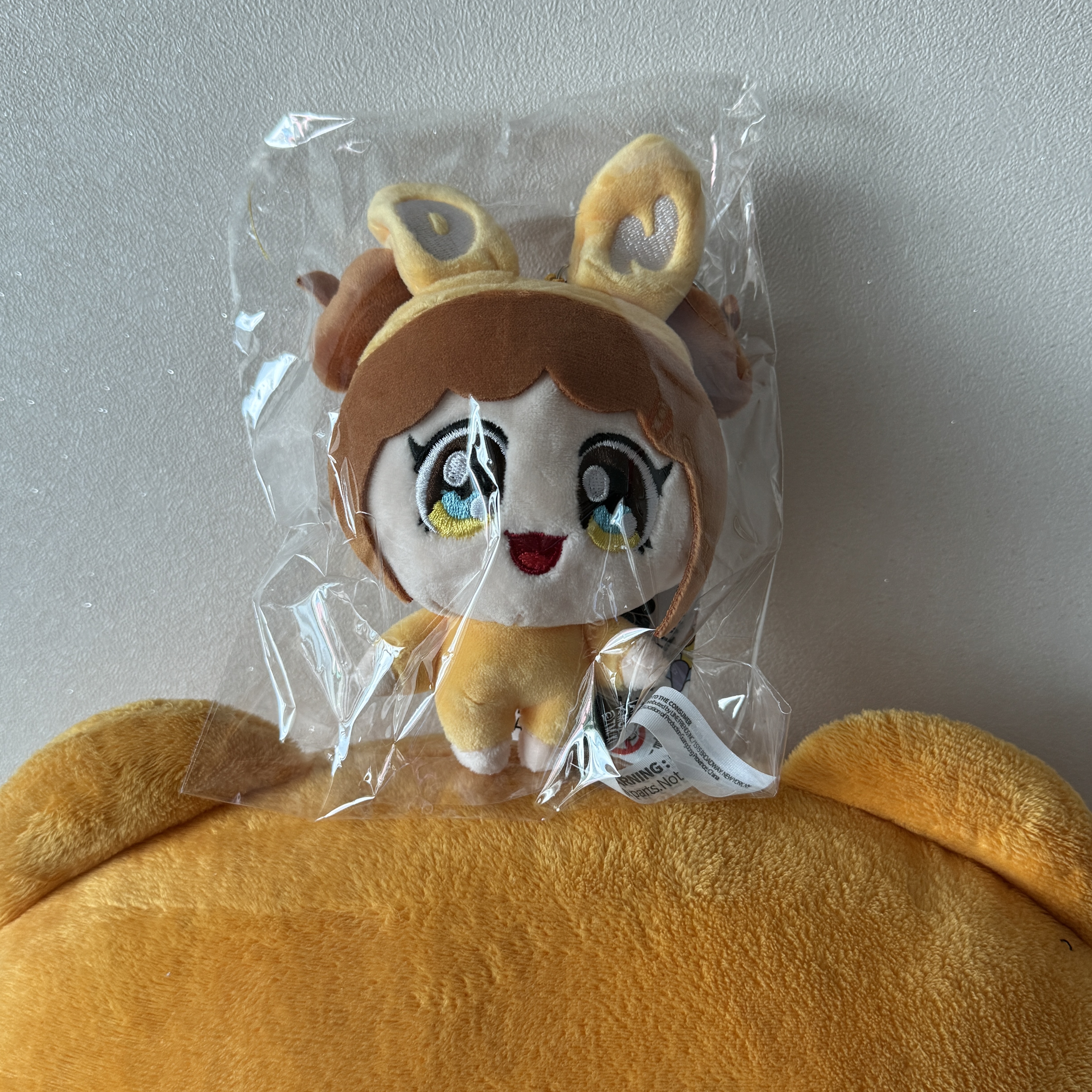 NewJeans x Murakami Plush Keyring Danielle 착용 스타일